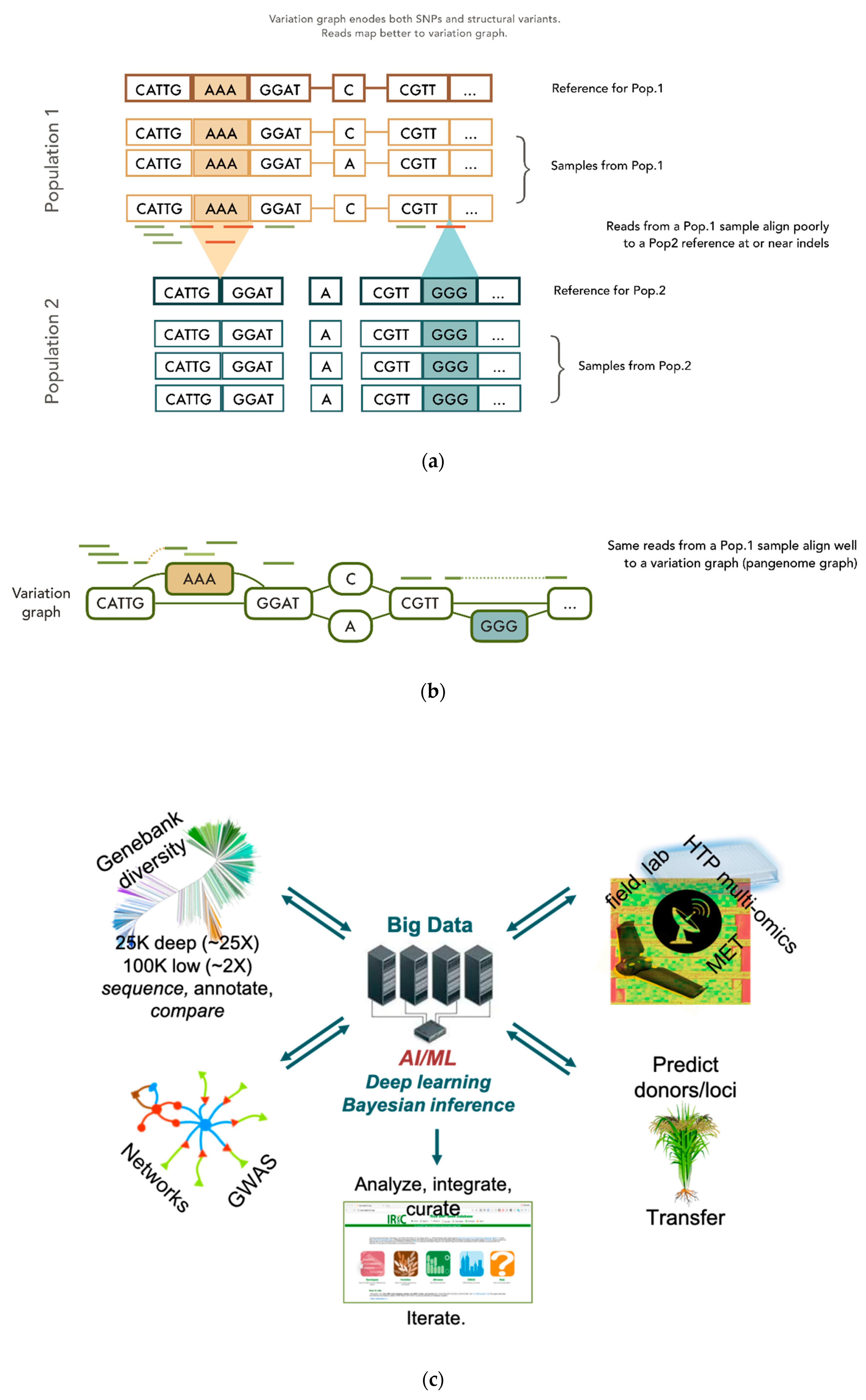Agronomy 10 01629 g002 Agronomy 10 01629 g002