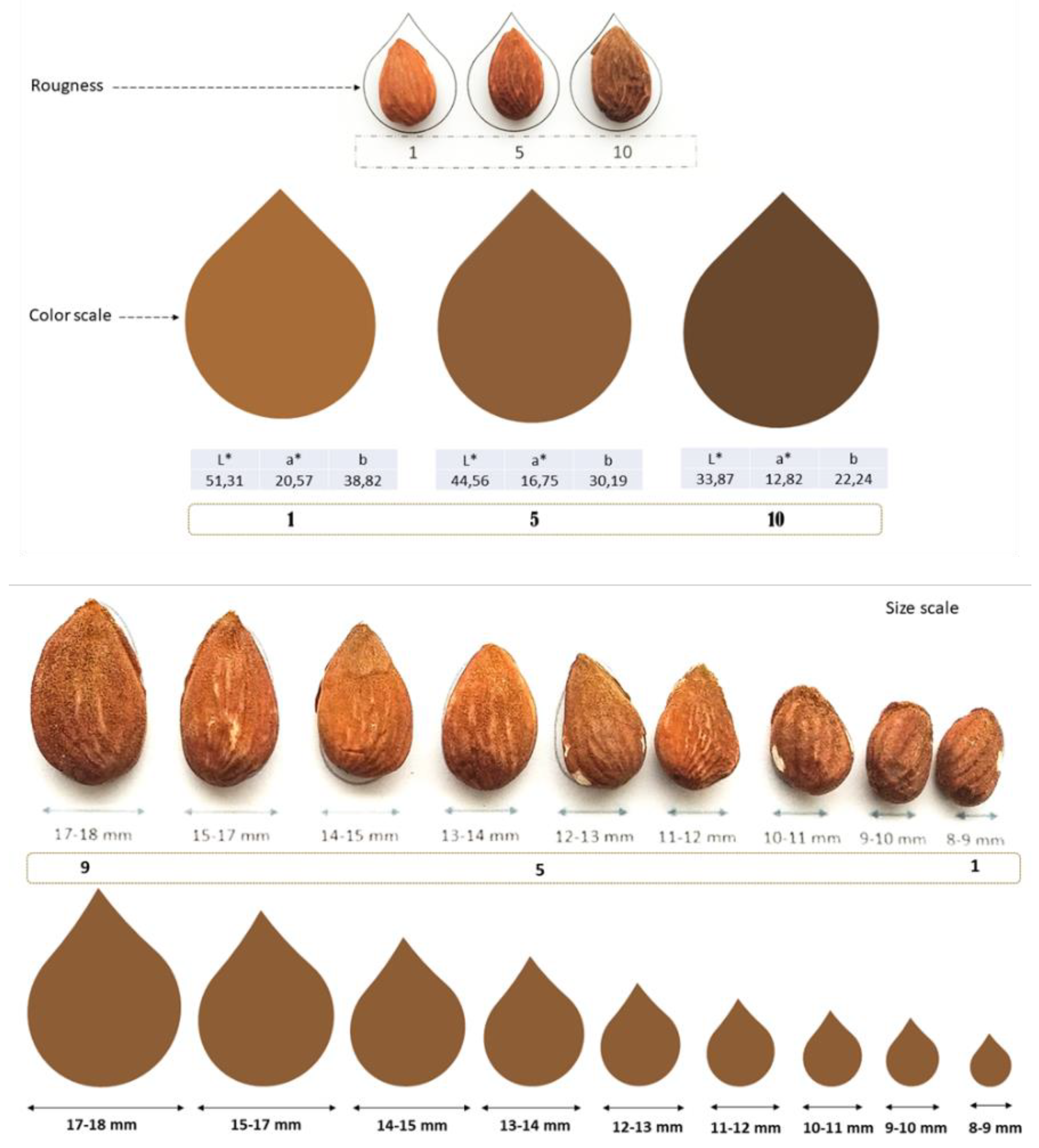 Agronomy Free Full Text Deficit Irrigation And Its Implications For Hydrosostainable Almond Production Html