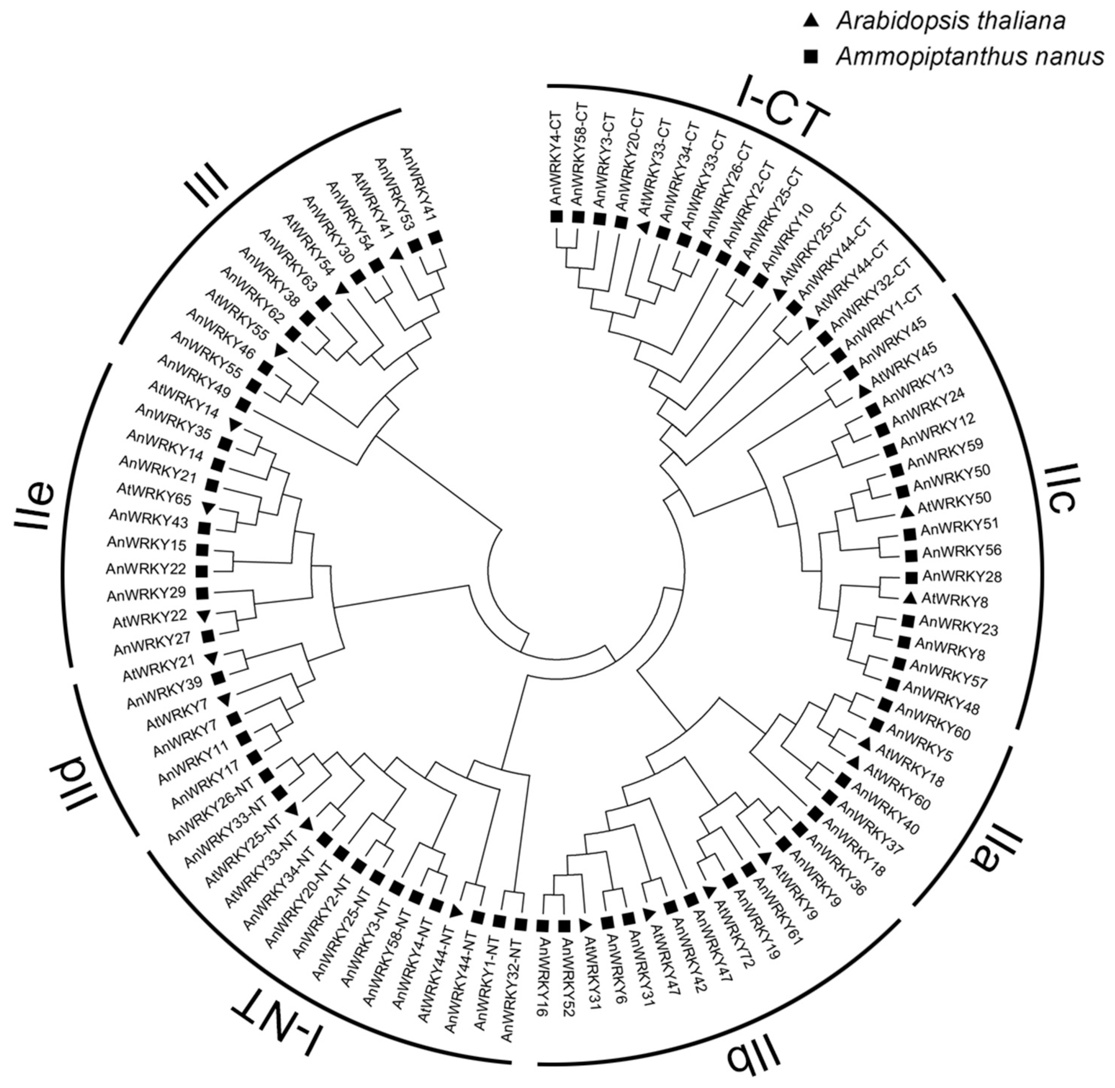 Agronomy 10 01634 g001