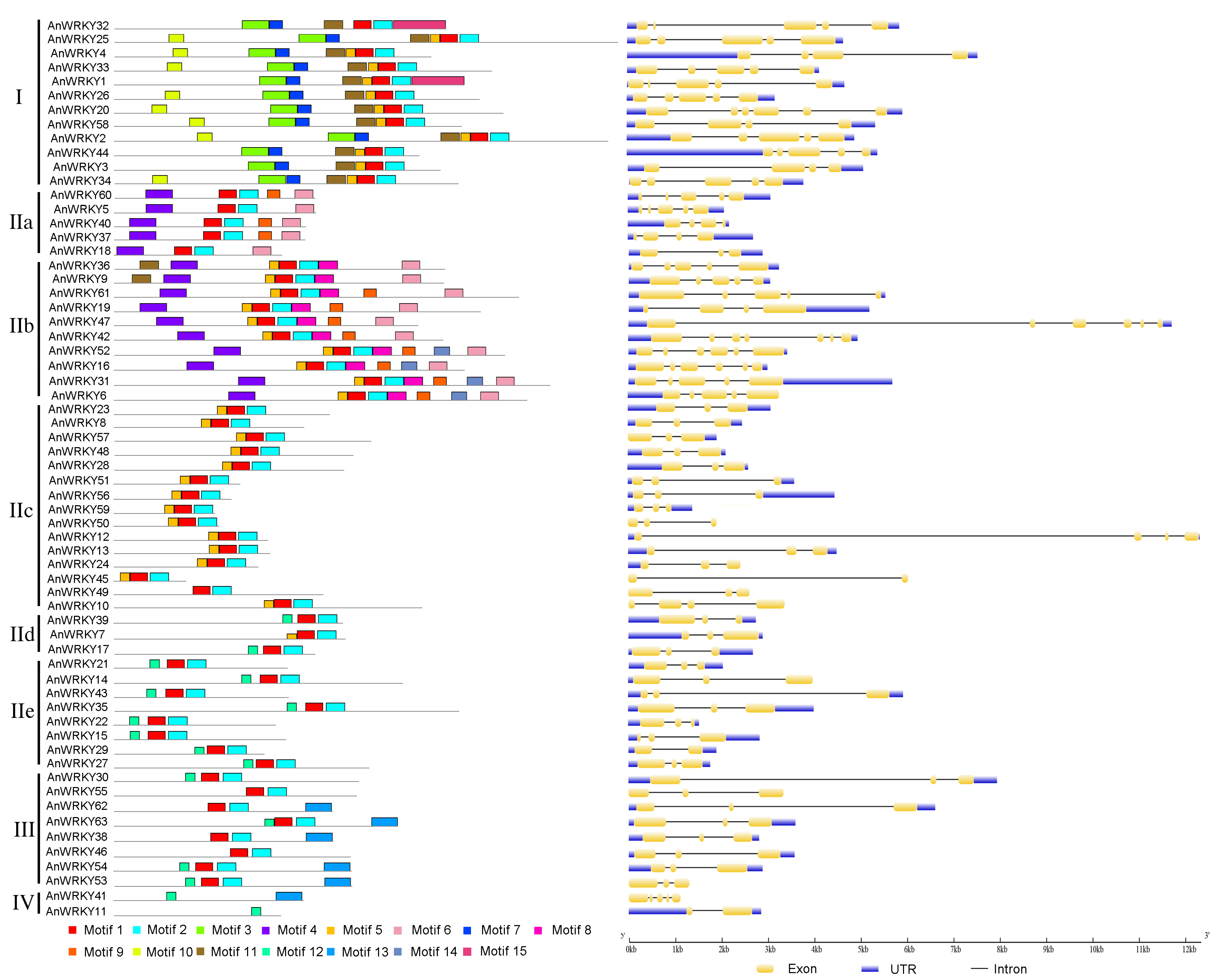 Agronomy 10 01634 g002