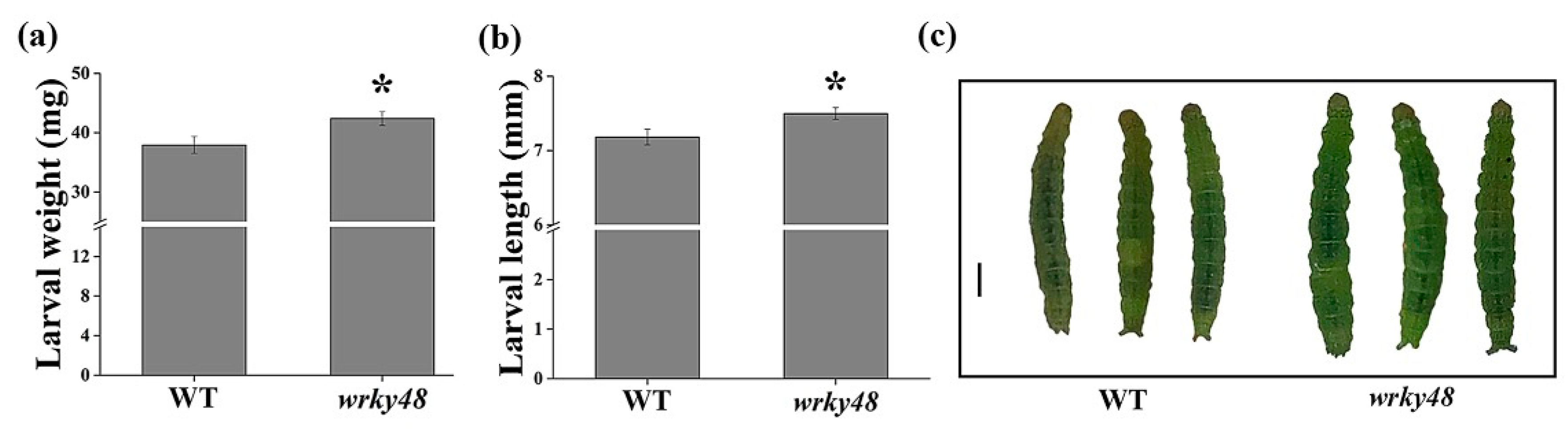 Agronomy 10 01634 g006