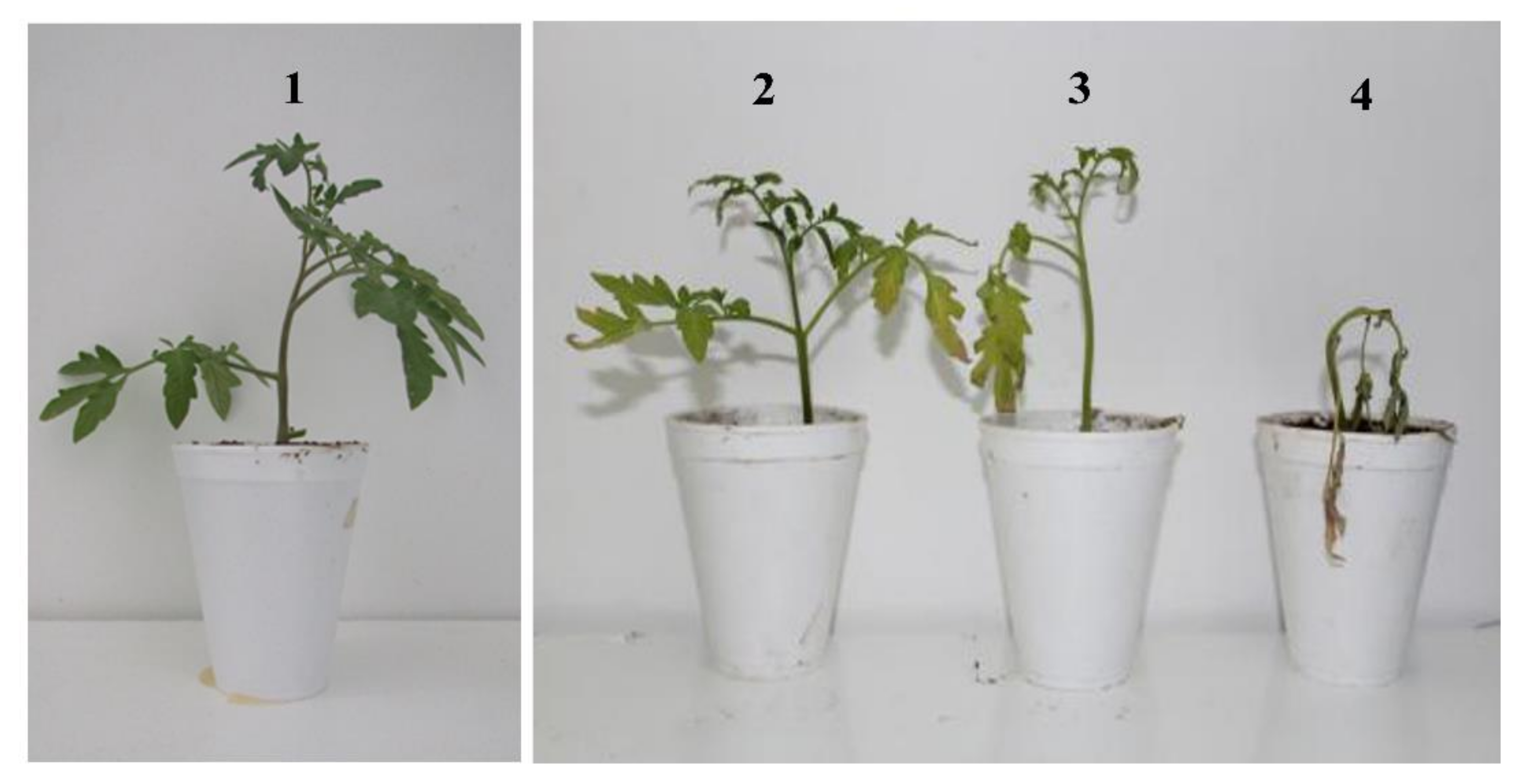 Agronomy 10 01636 g001 Agronomy 10 01636 g001