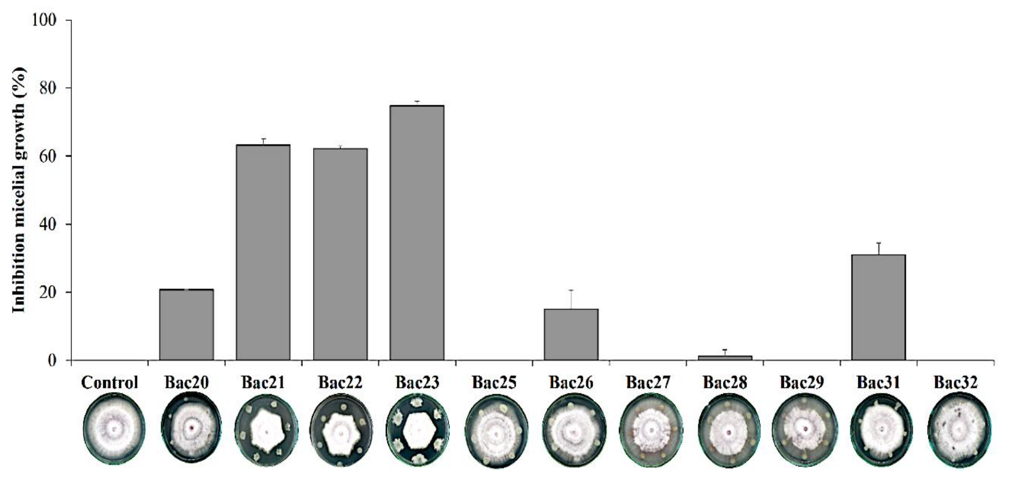 Agronomy 10 01636 g004 Agronomy 10 01636 g004