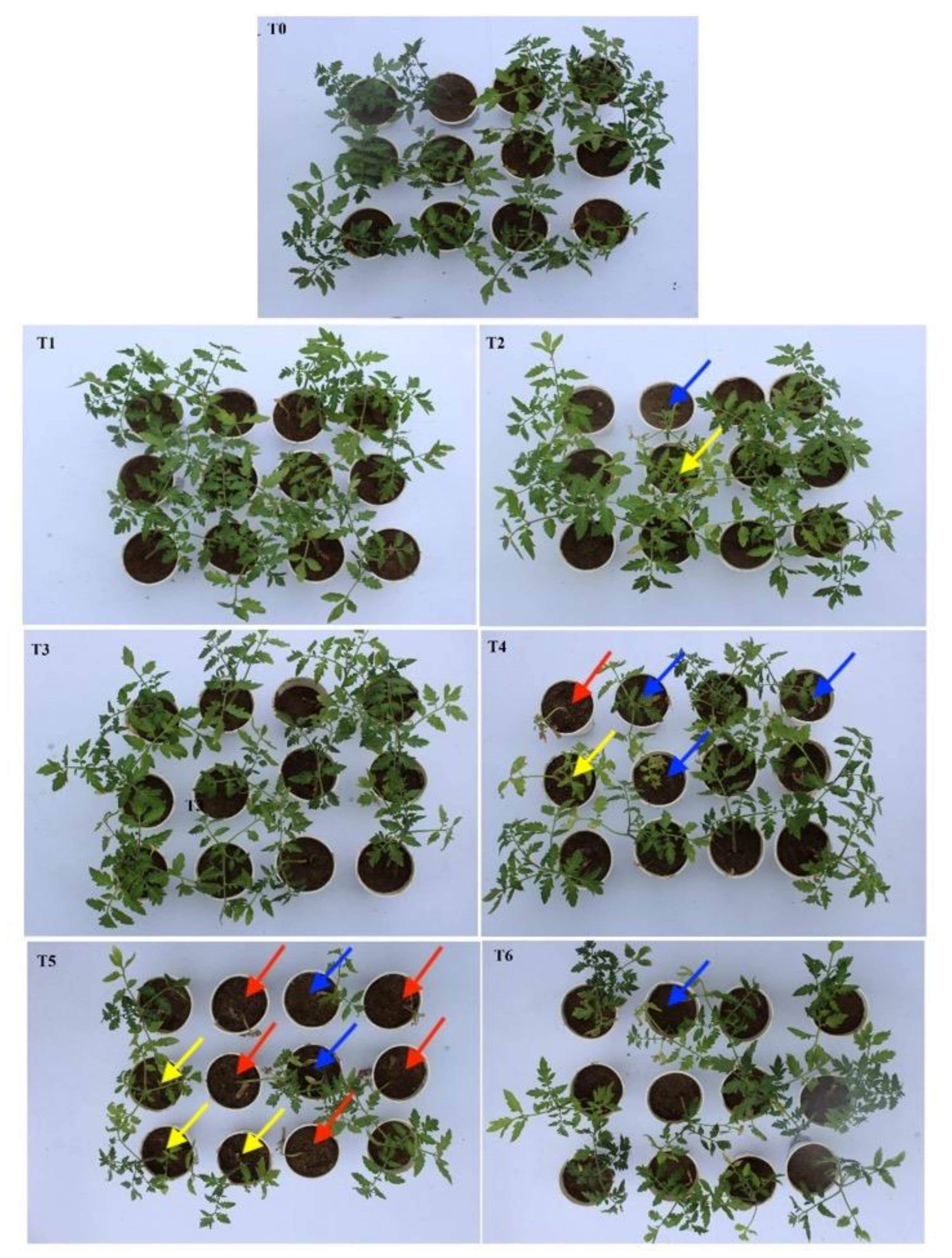 Agronomy 10 01636 g005 Agronomy 10 01636 g005