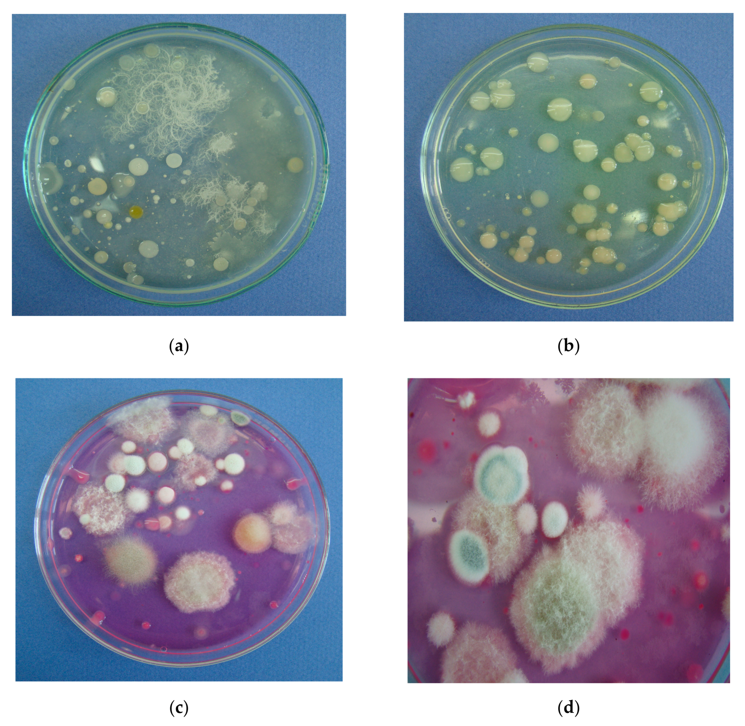 Agronomy 10 01637 g006 Agronomy 10 01637 g006