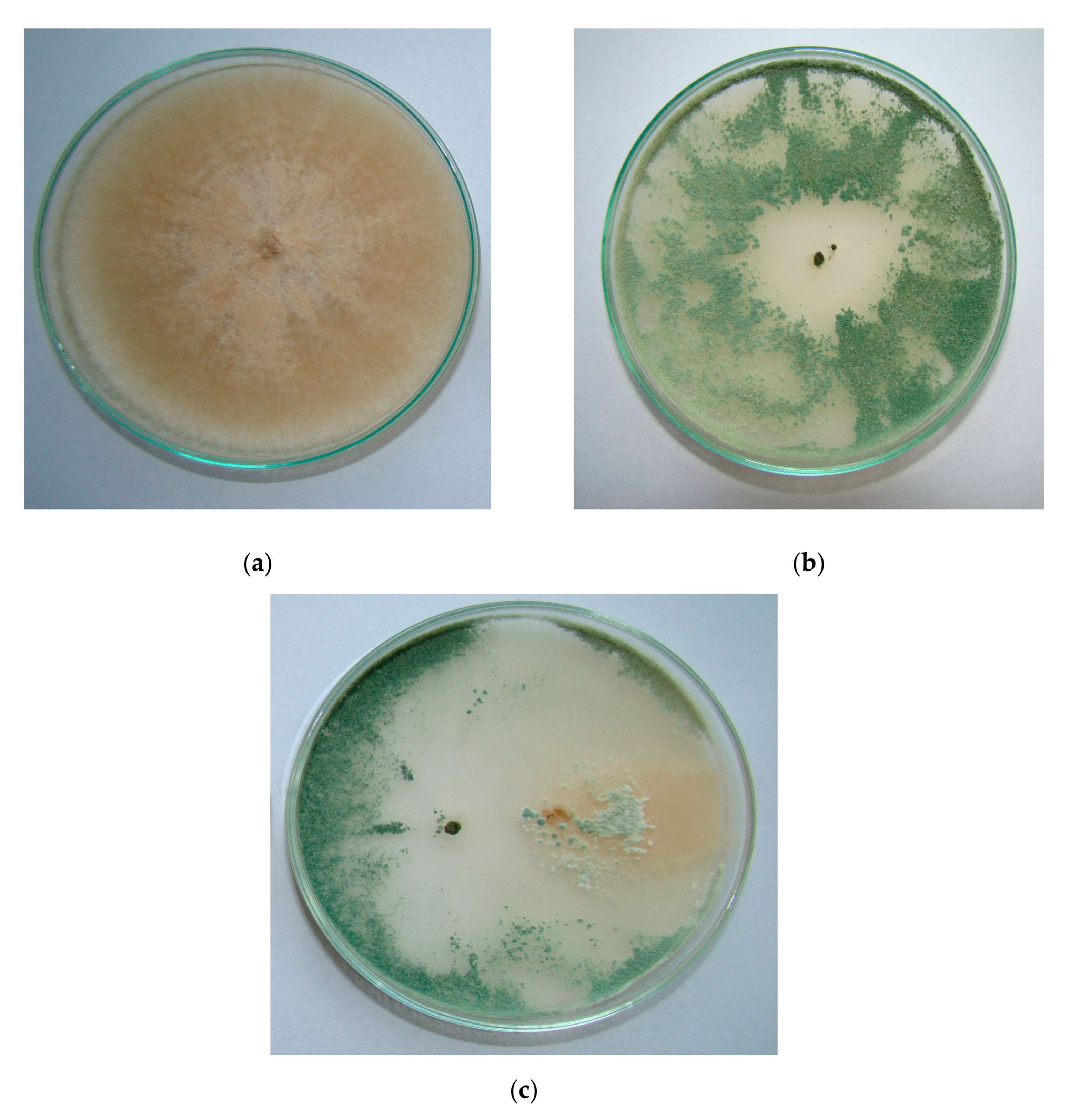 Agronomy 10 01637 g009 Agronomy 10 01637 g009