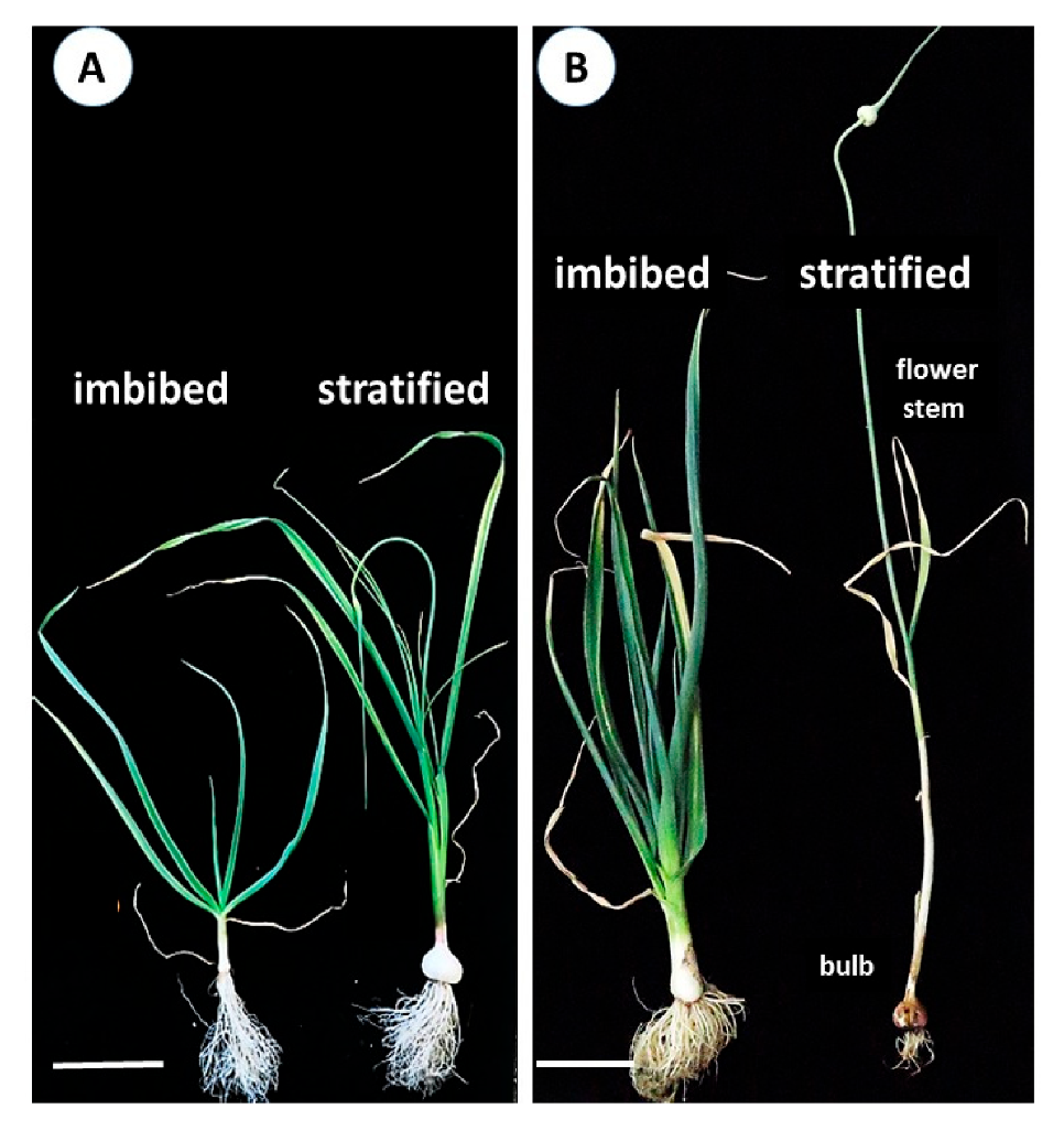 Agronomy 10 01651 g003