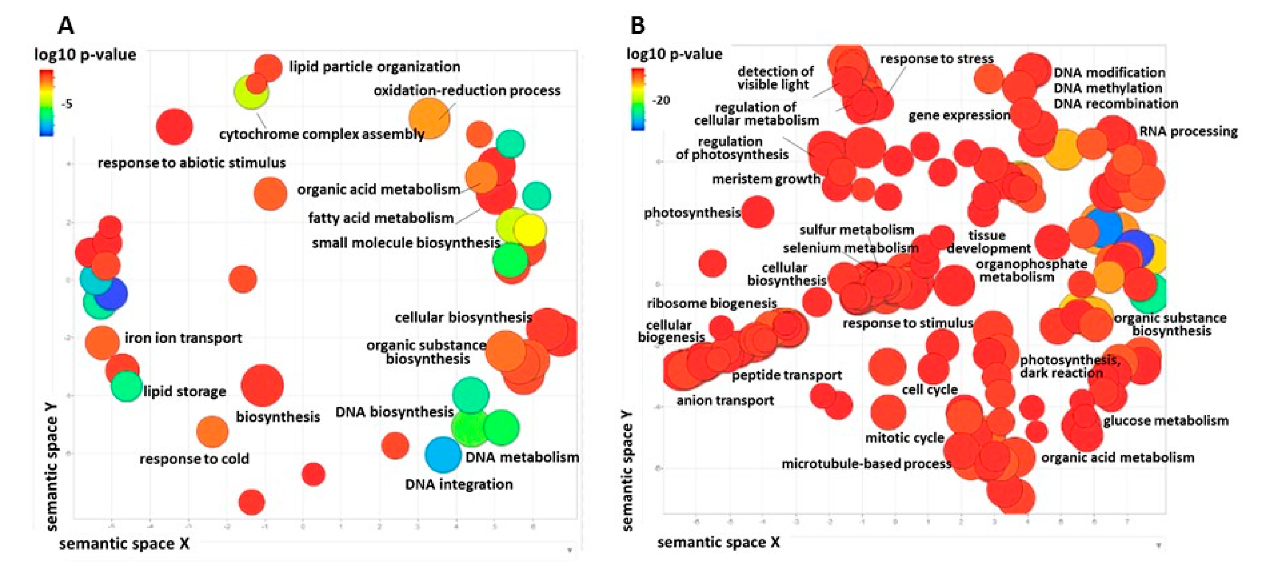 Agronomy 10 01651 g006