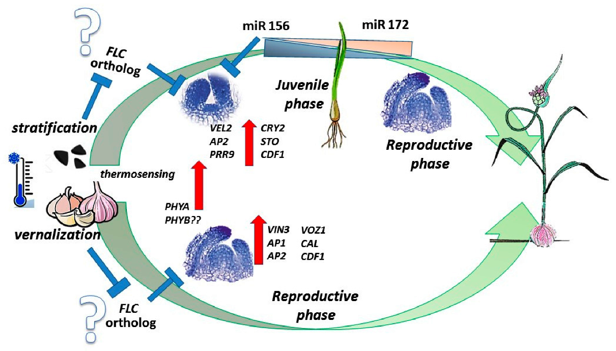 Agronomy 10 01651 g009