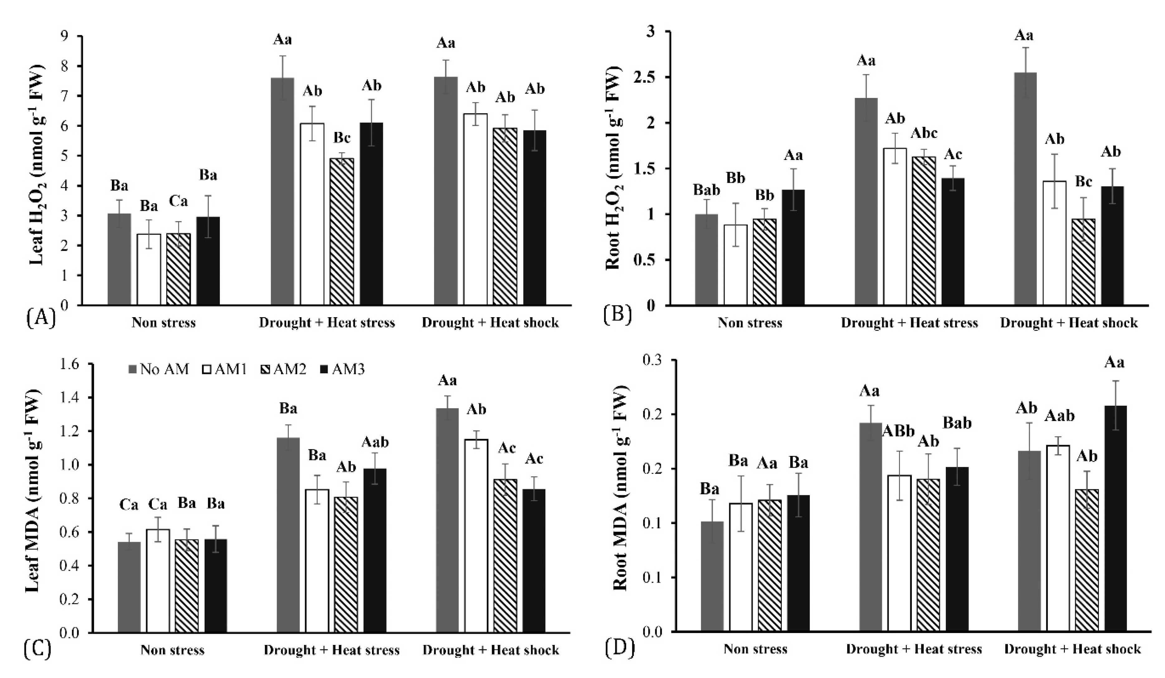 Agronomy 10 01657 g001
