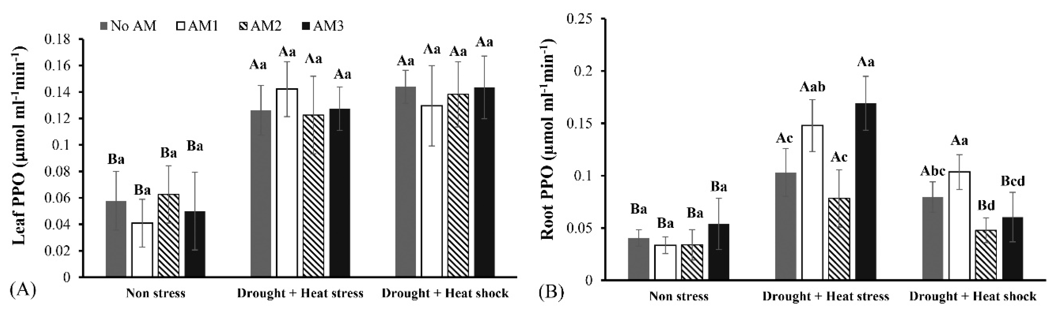 Agronomy 10 01657 g003