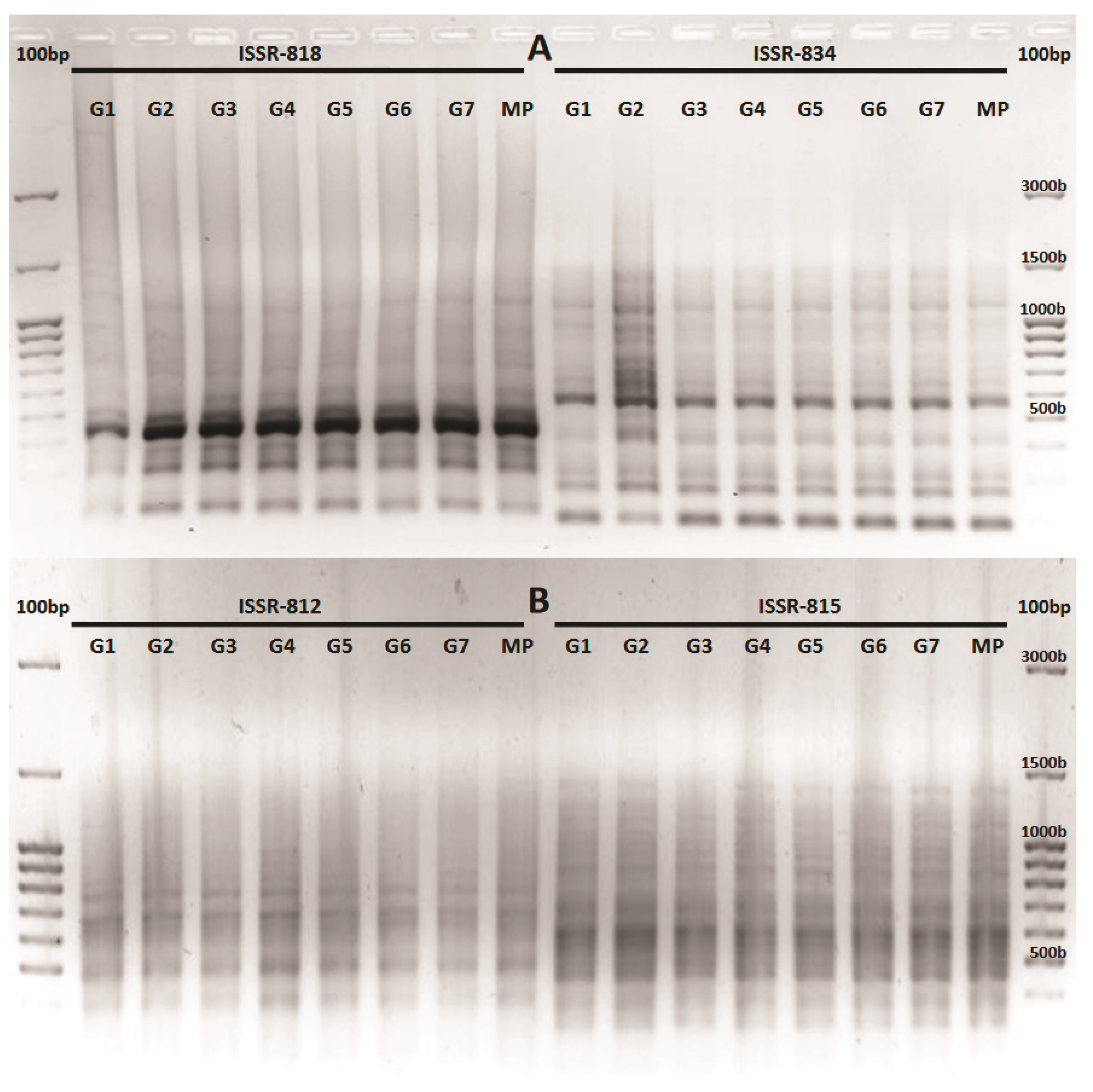 Agronomy 10 01660 g002