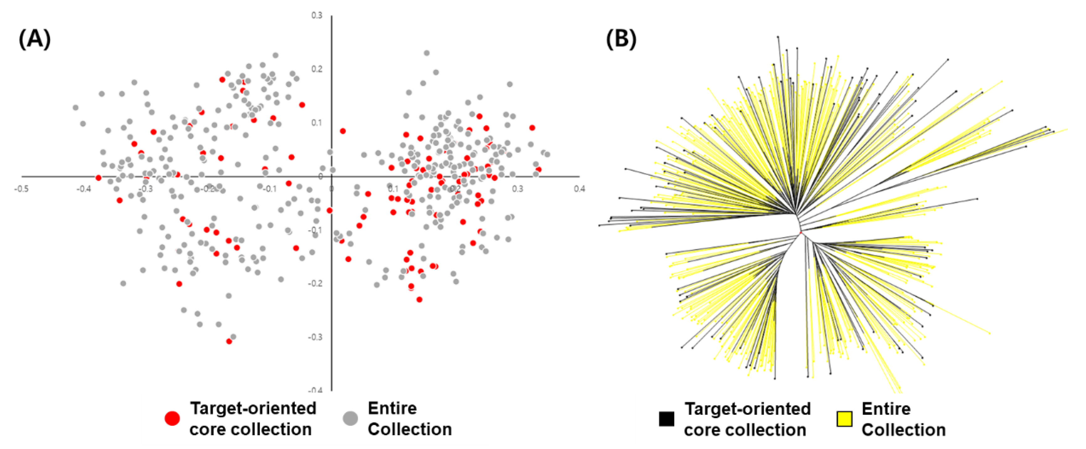 Agronomy 10 01667 g004
