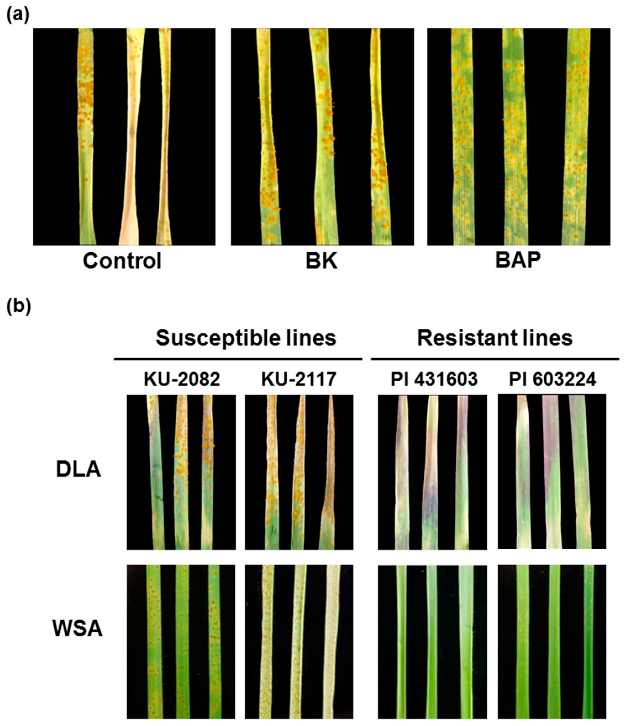 Agronomy 10 01668 g002