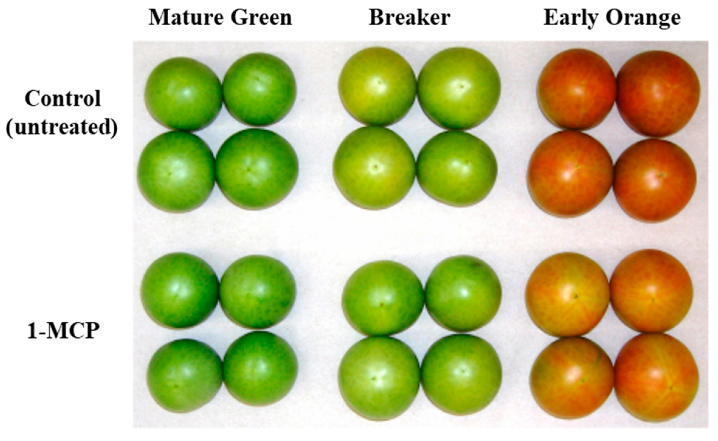 Agronomy Free FullText Gene Expression in 1Methylcyclopropene (1