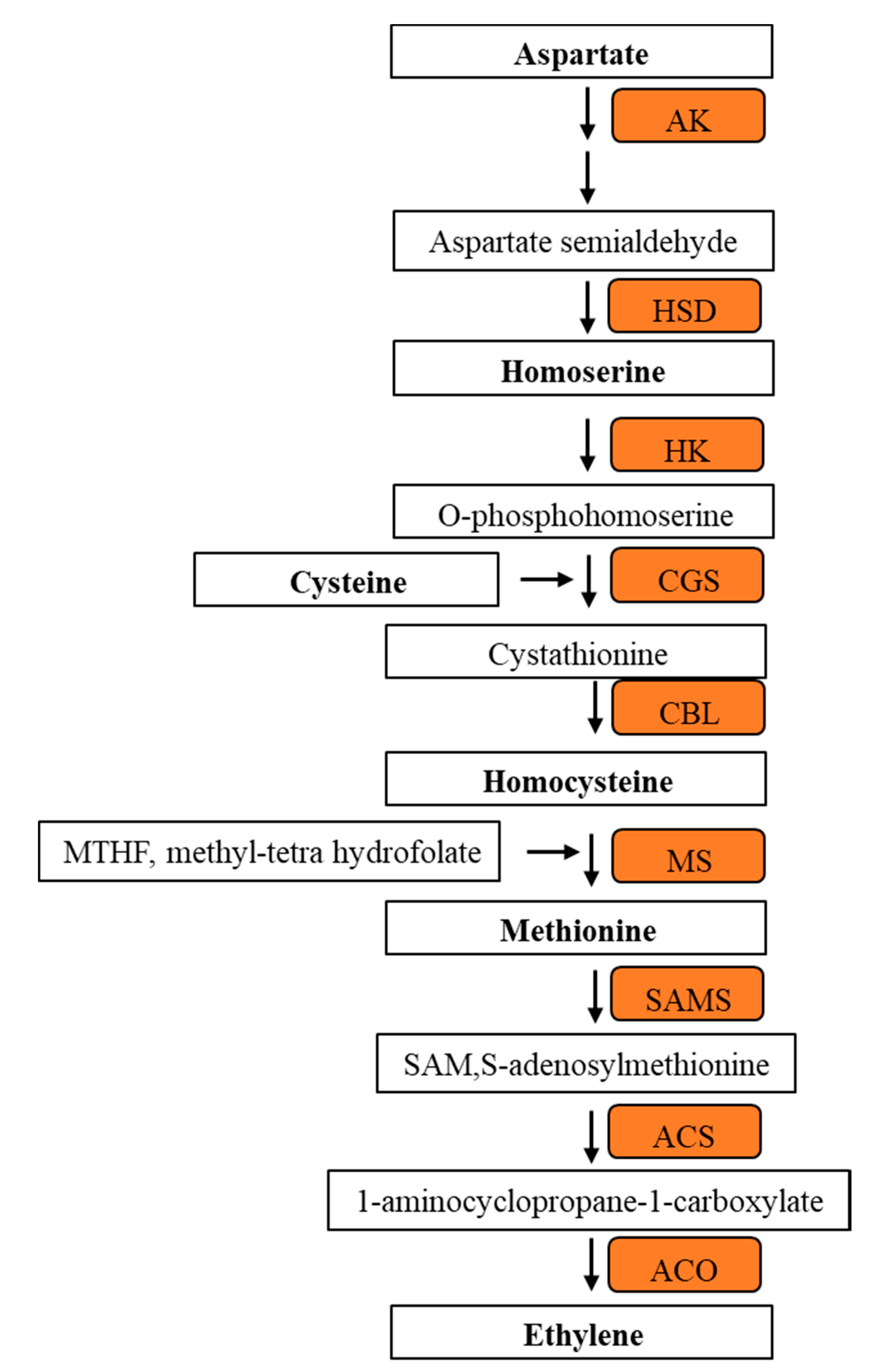 Agronomy 10 01669 g006