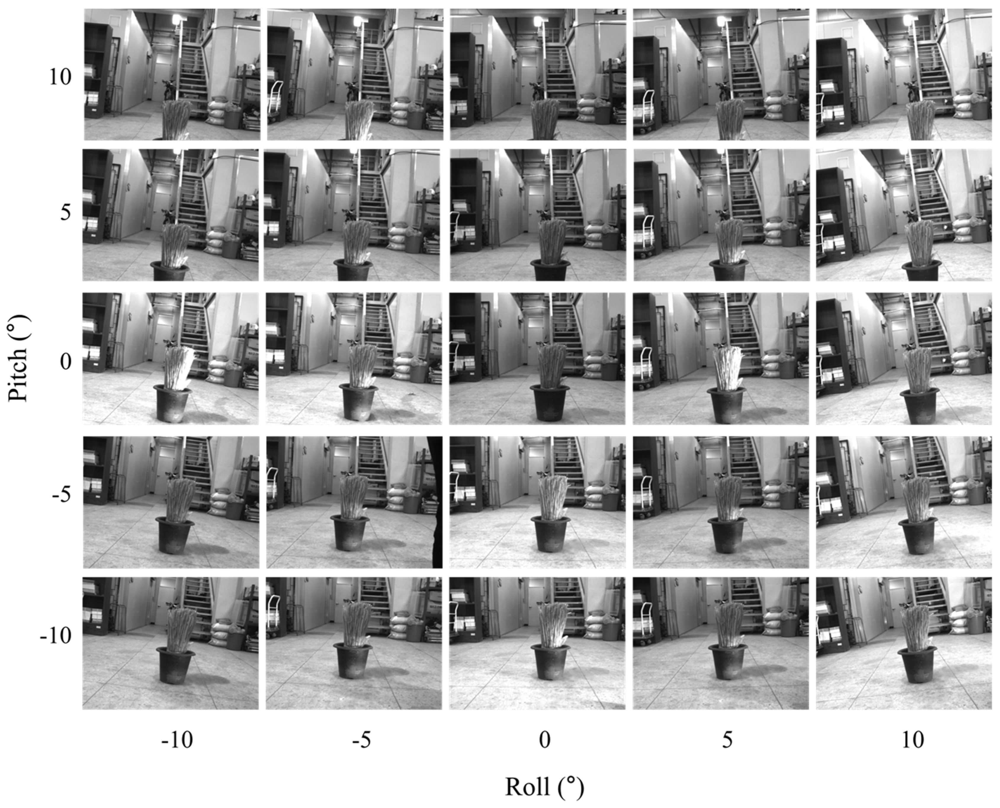 Agronomy 10 01670 g005