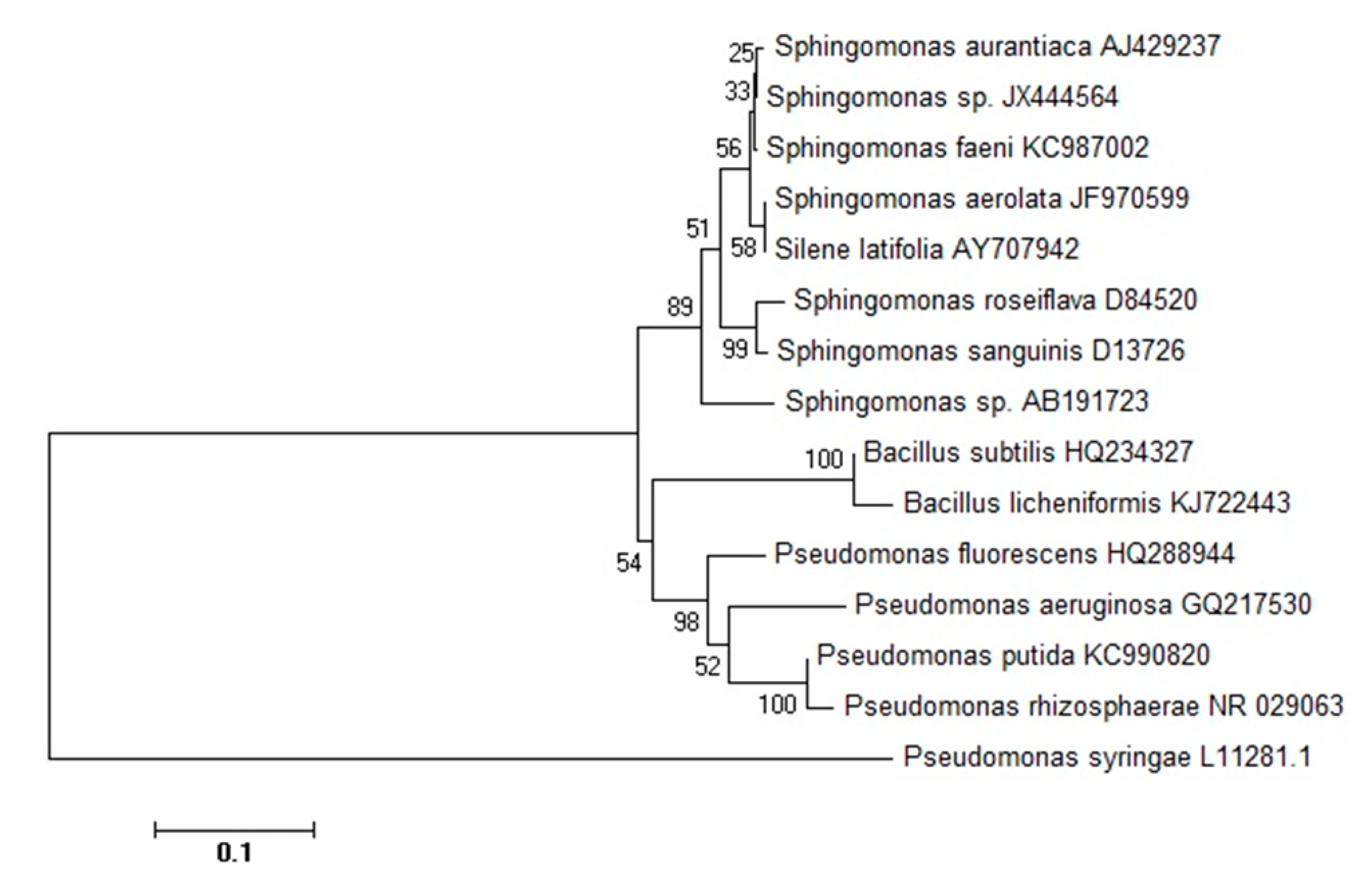 Agronomy 10 01673 g002 Agronomy 10 01673 g002