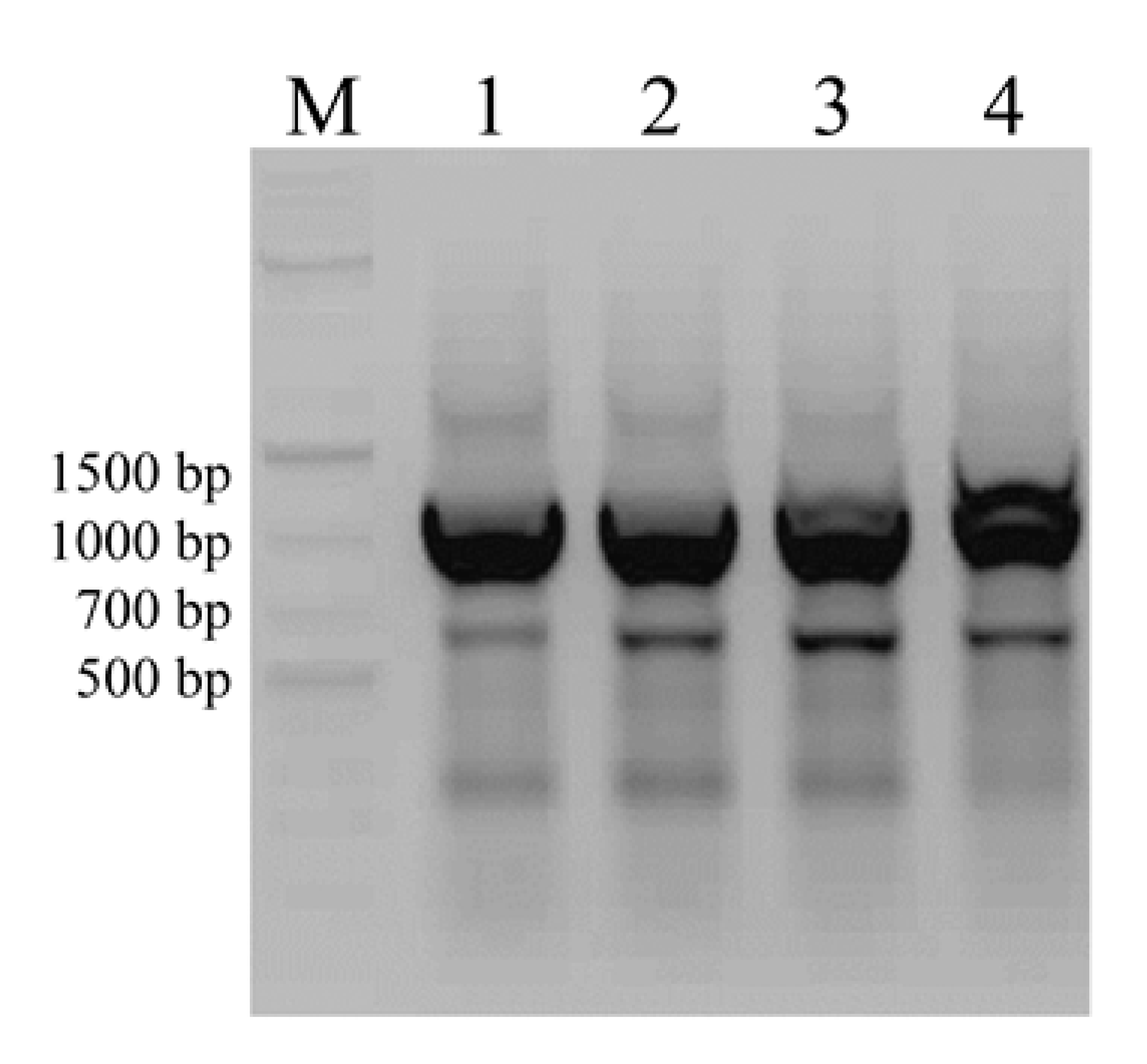 Agronomy 10 01673 g003 Agronomy 10 01673 g003