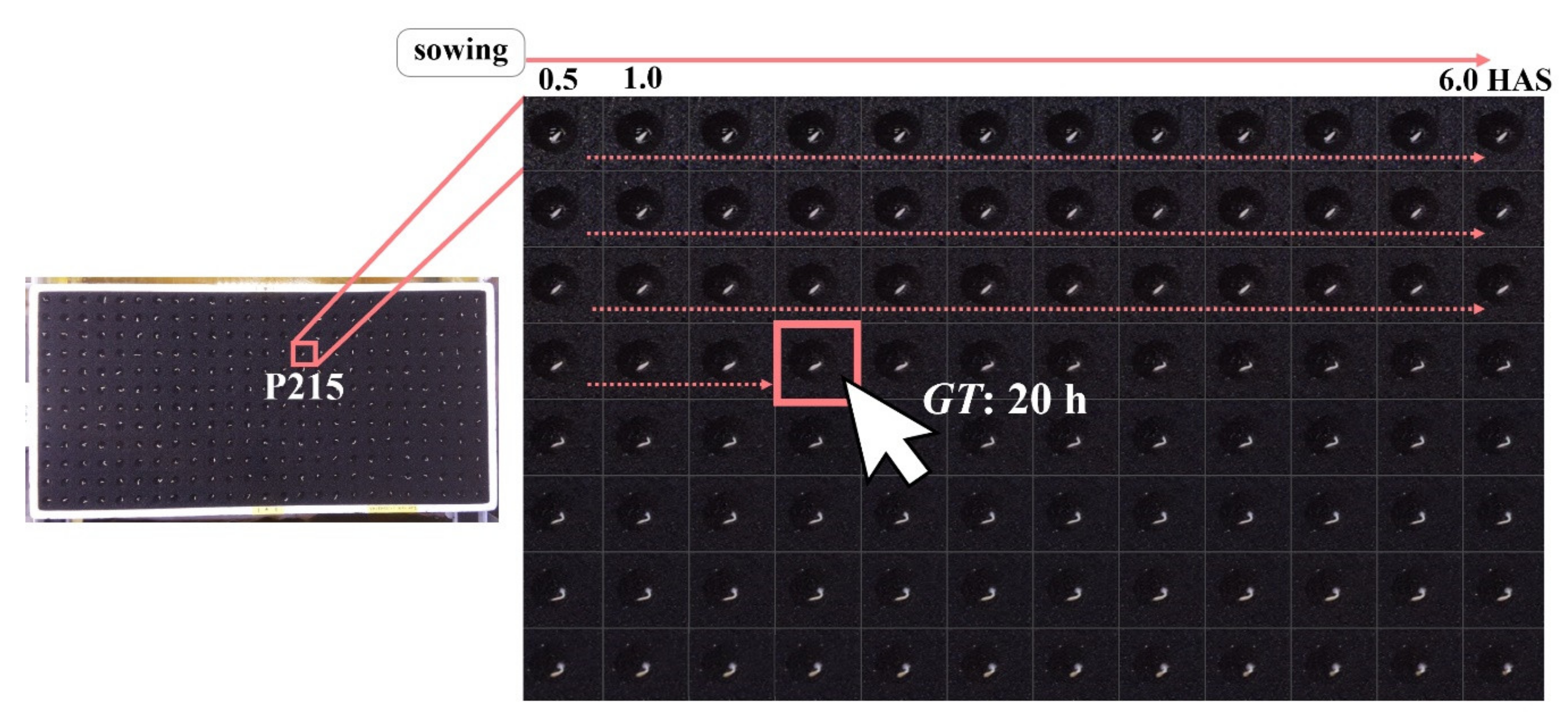 Agronomy 10 01680 g003 Agronomy 10 01680 g003