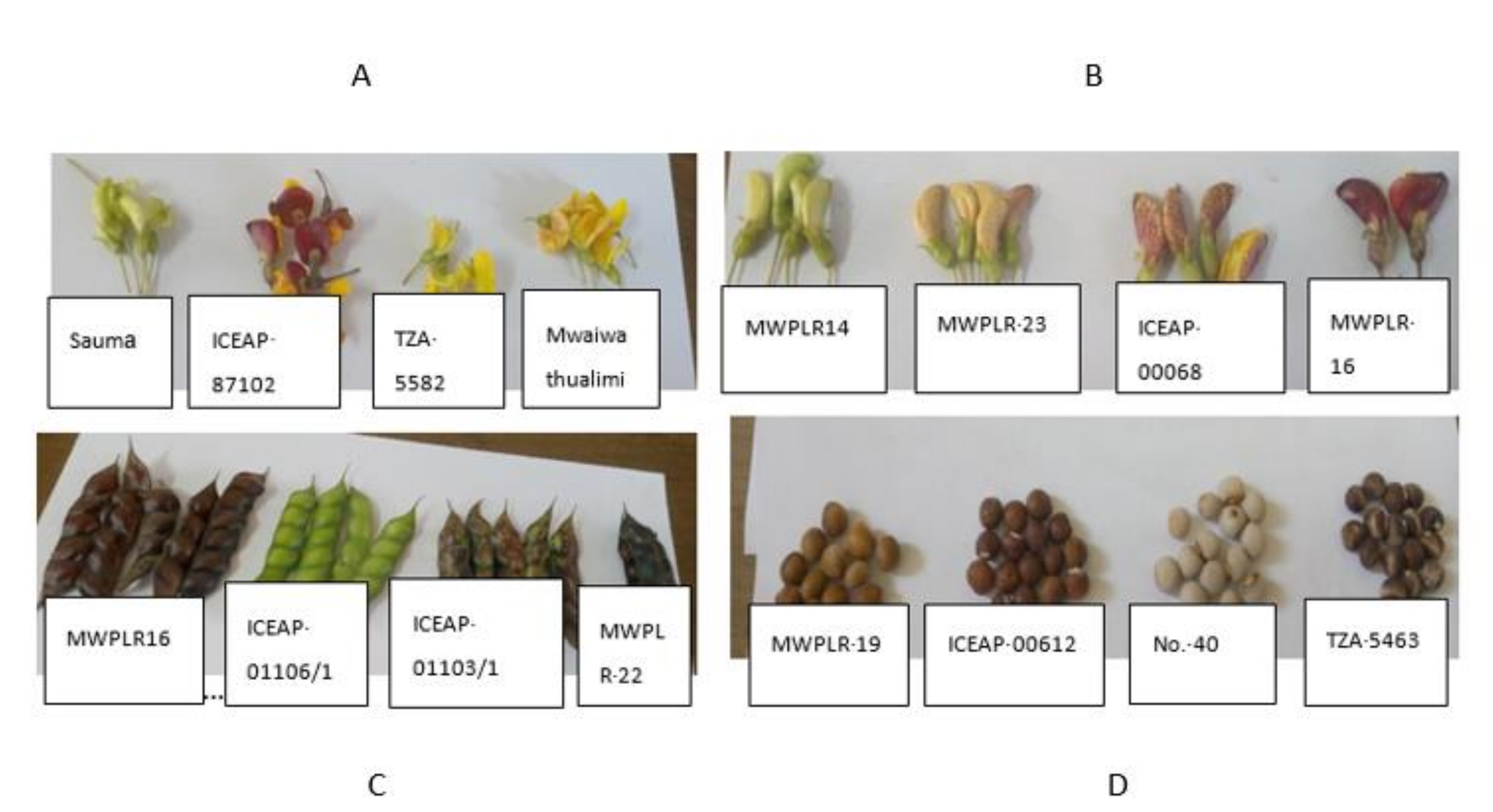 Agronomy 10 01682 g001 Agronomy 10 01682 g001