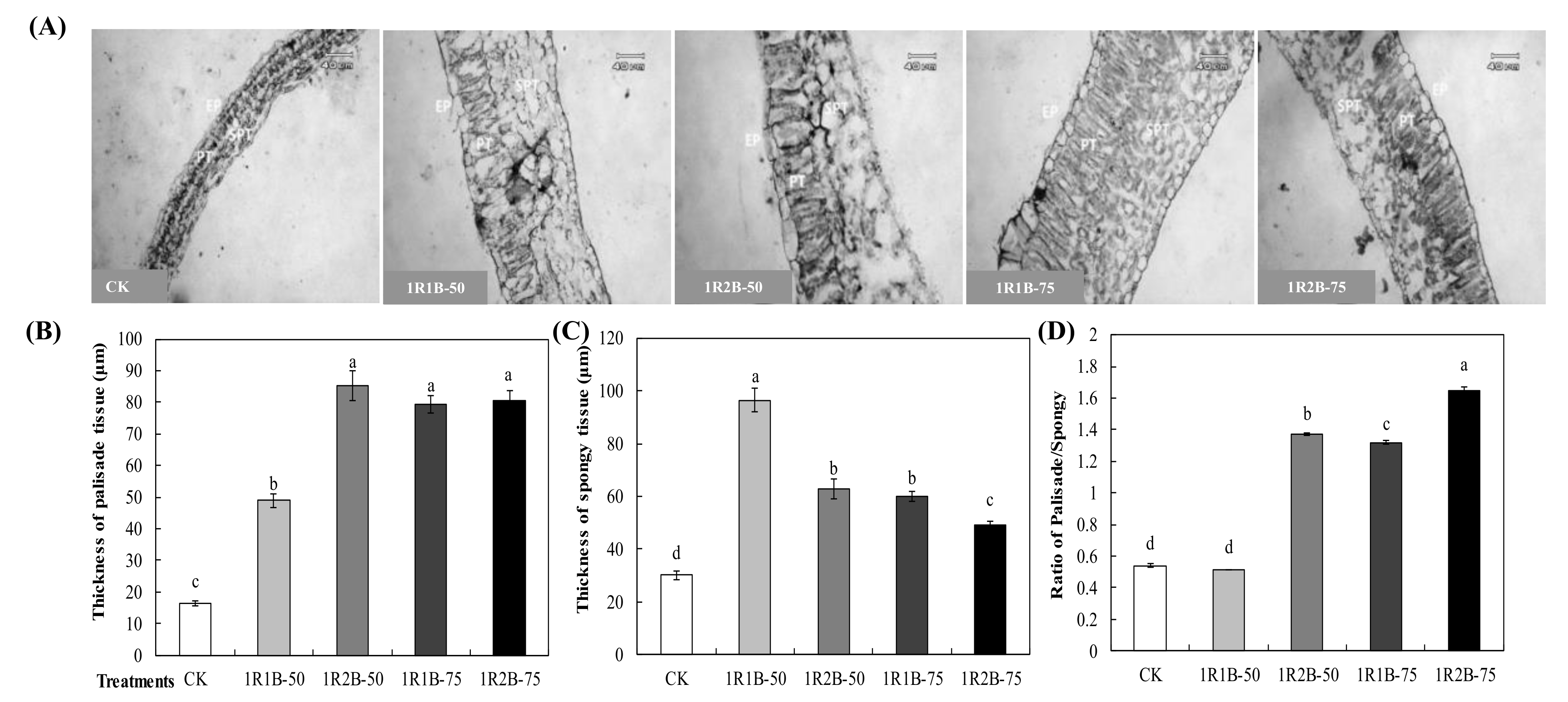 Agronomy 10 01698 g006 Agronomy 10 01698 g006