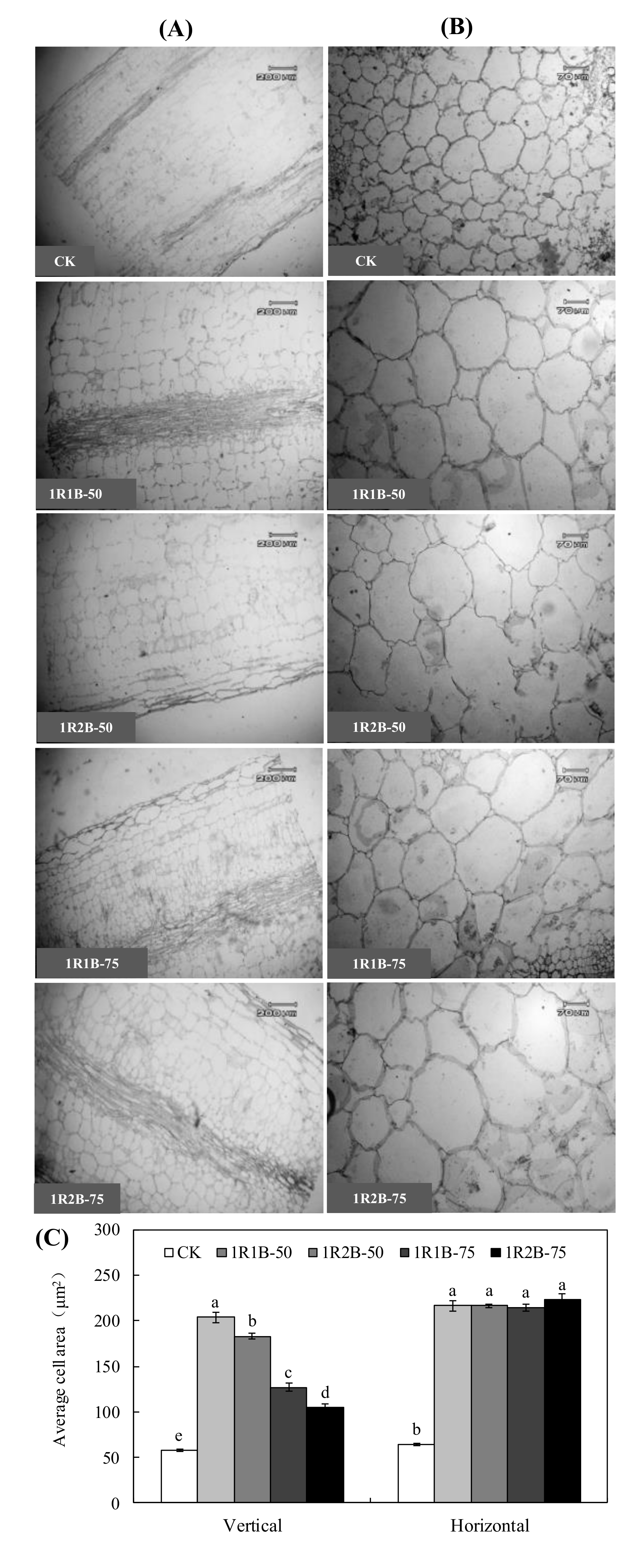 Agronomy 10 01698 g007 Agronomy 10 01698 g007