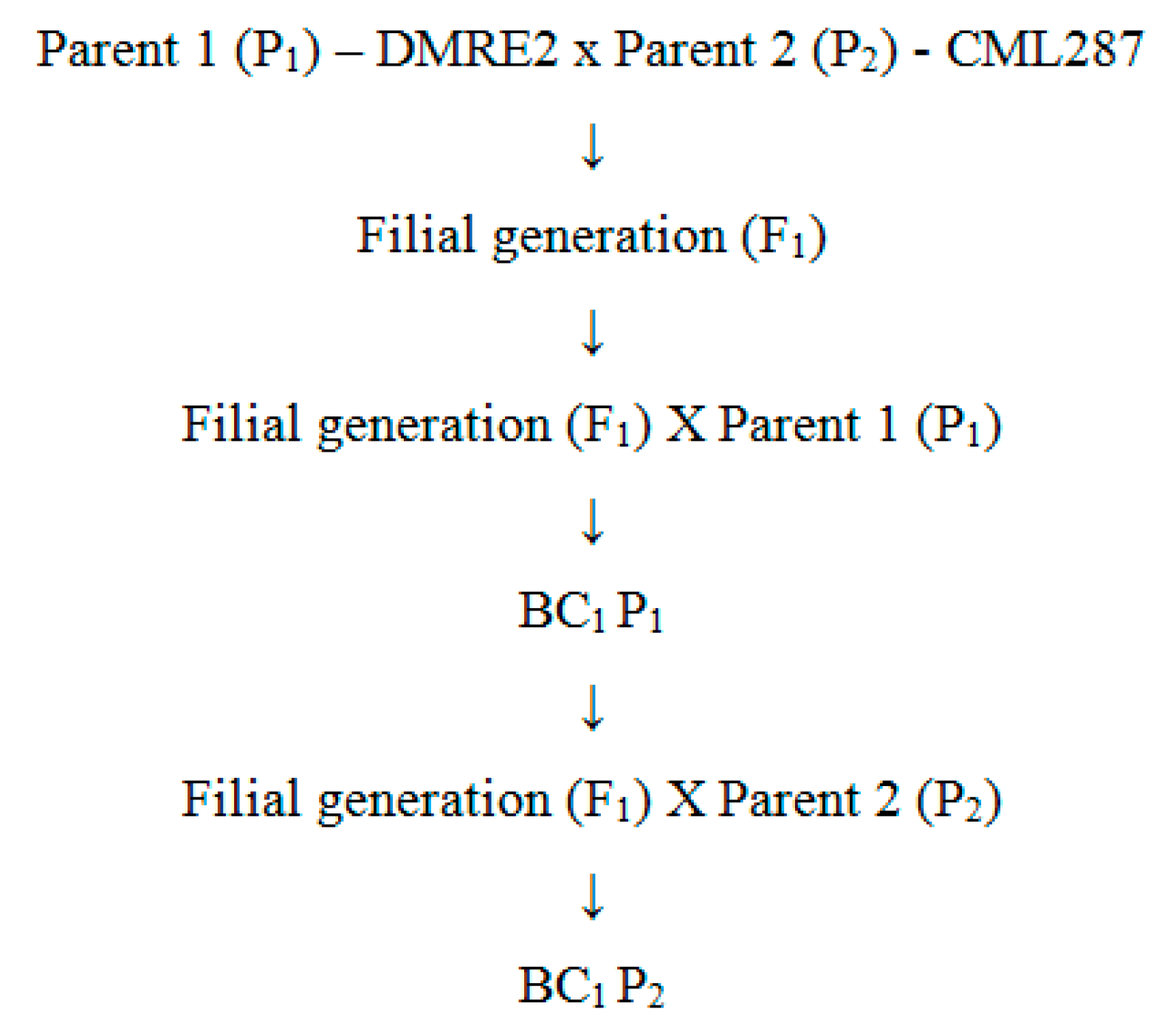 Agronomy 10 01705 g003 Agronomy 10 01705 g003