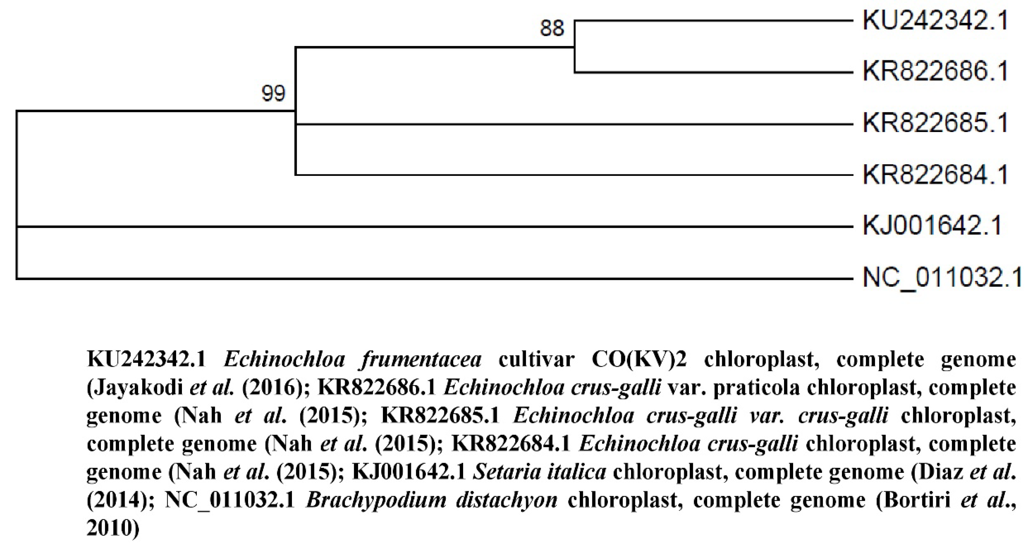 Agronomy 10 01705 g004 Agronomy 10 01705 g004