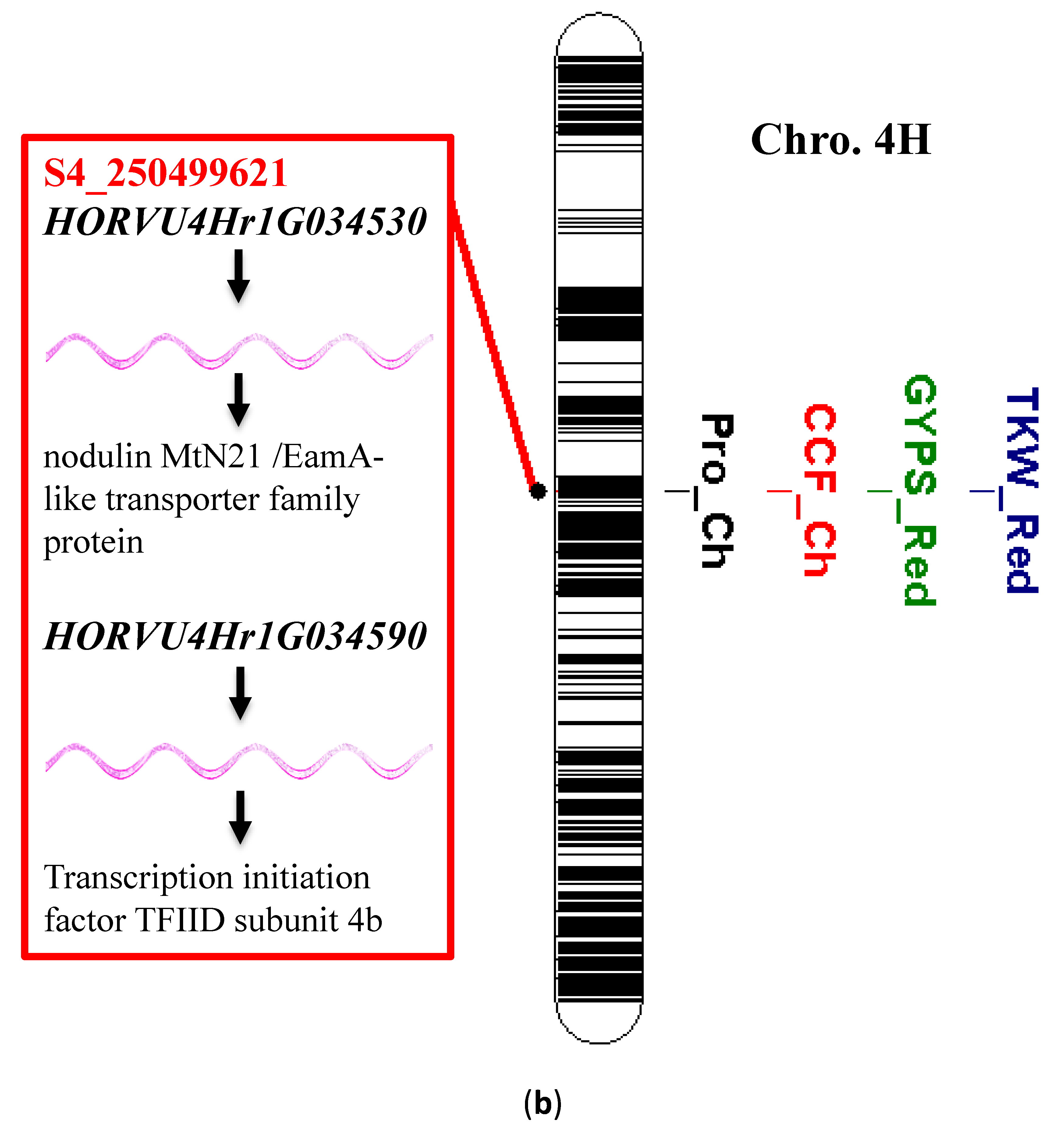 Agronomy 10 01730 g006b Agronomy 10 01730 g006b