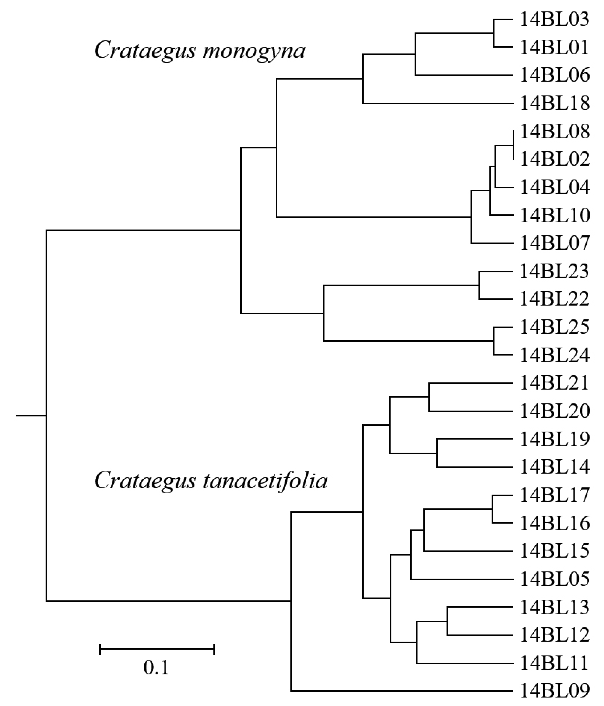 Agronomy 10 01731 g005 Agronomy 10 01731 g005