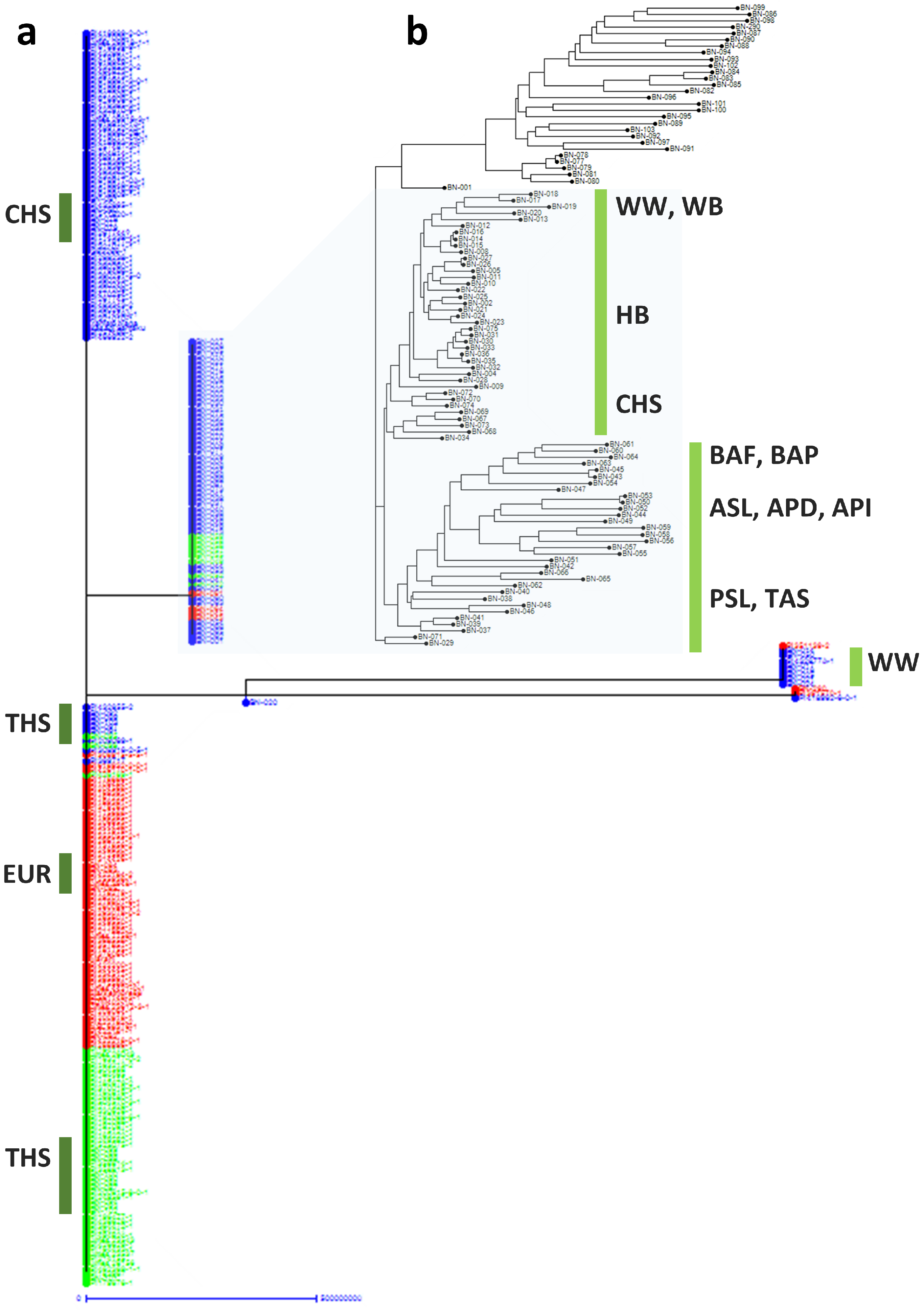Agronomy 10 01736 g004 Agronomy 10 01736 g004