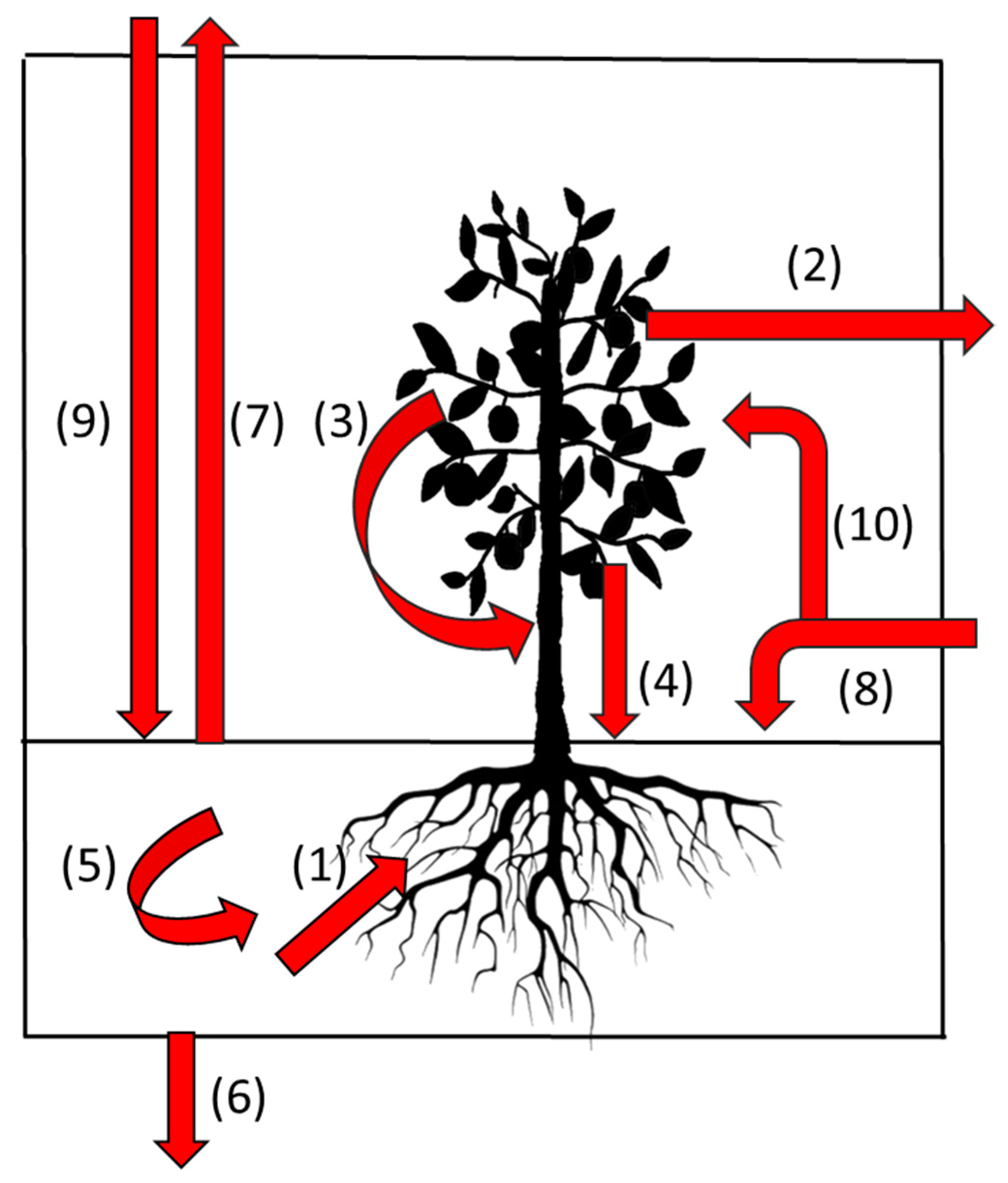 Agronomy 10 01738 g001 Agronomy 10 01738 g001