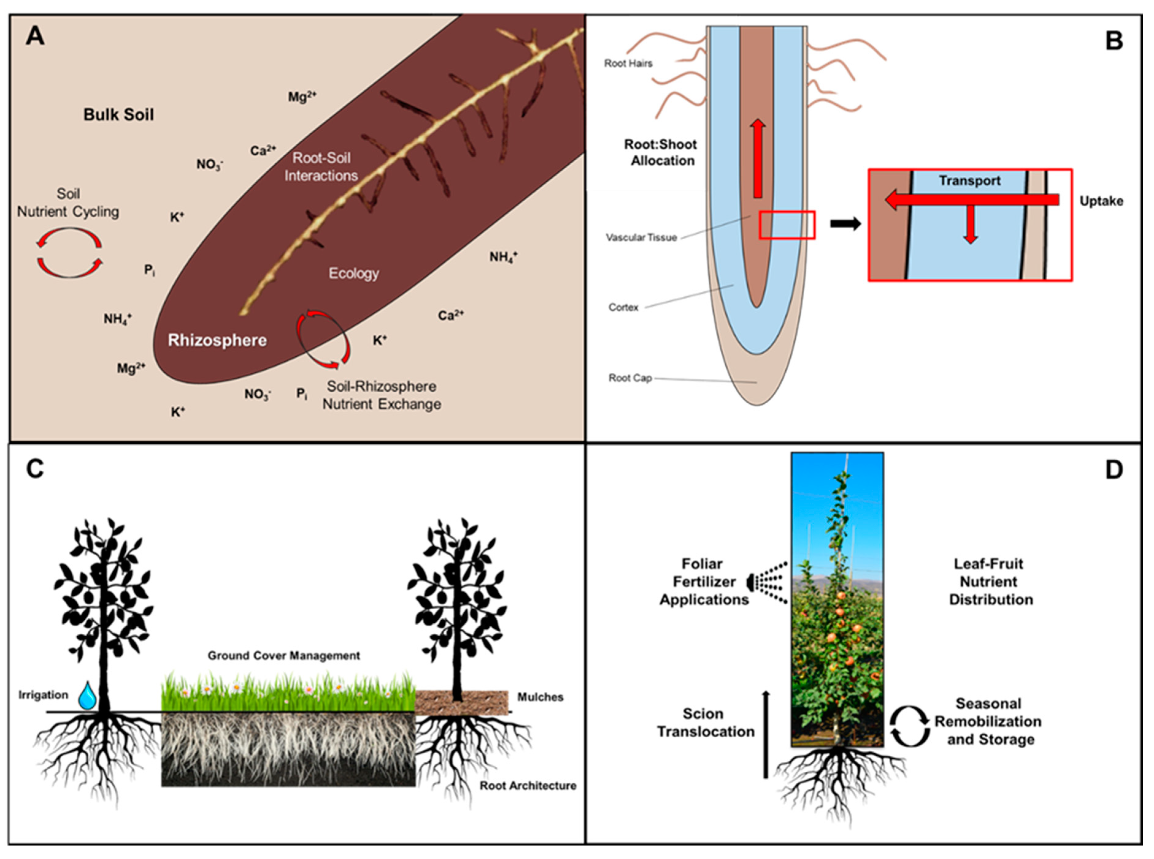 Agronomy 10 01738 g002 Agronomy 10 01738 g002