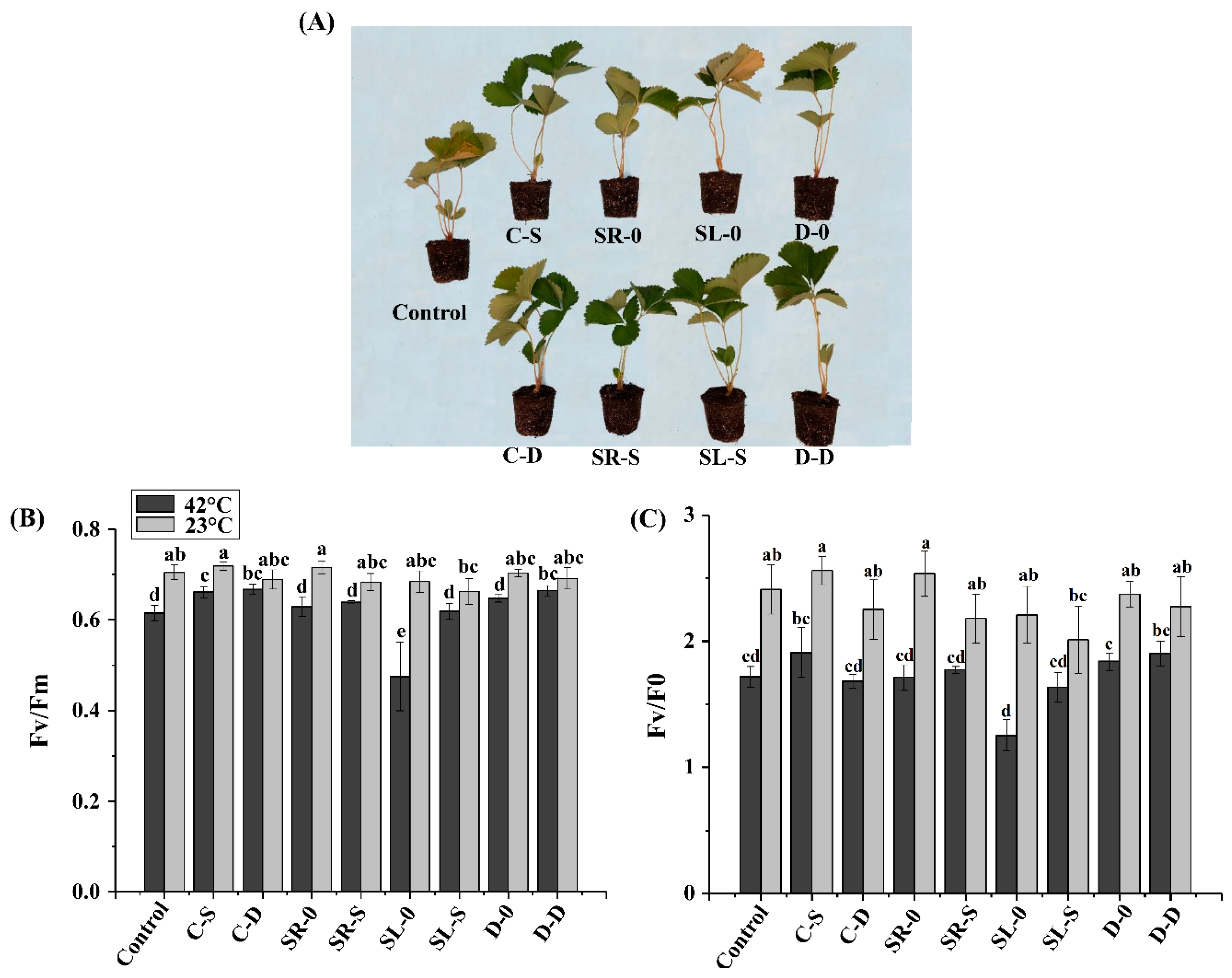 Agronomy 10 01753 g003
