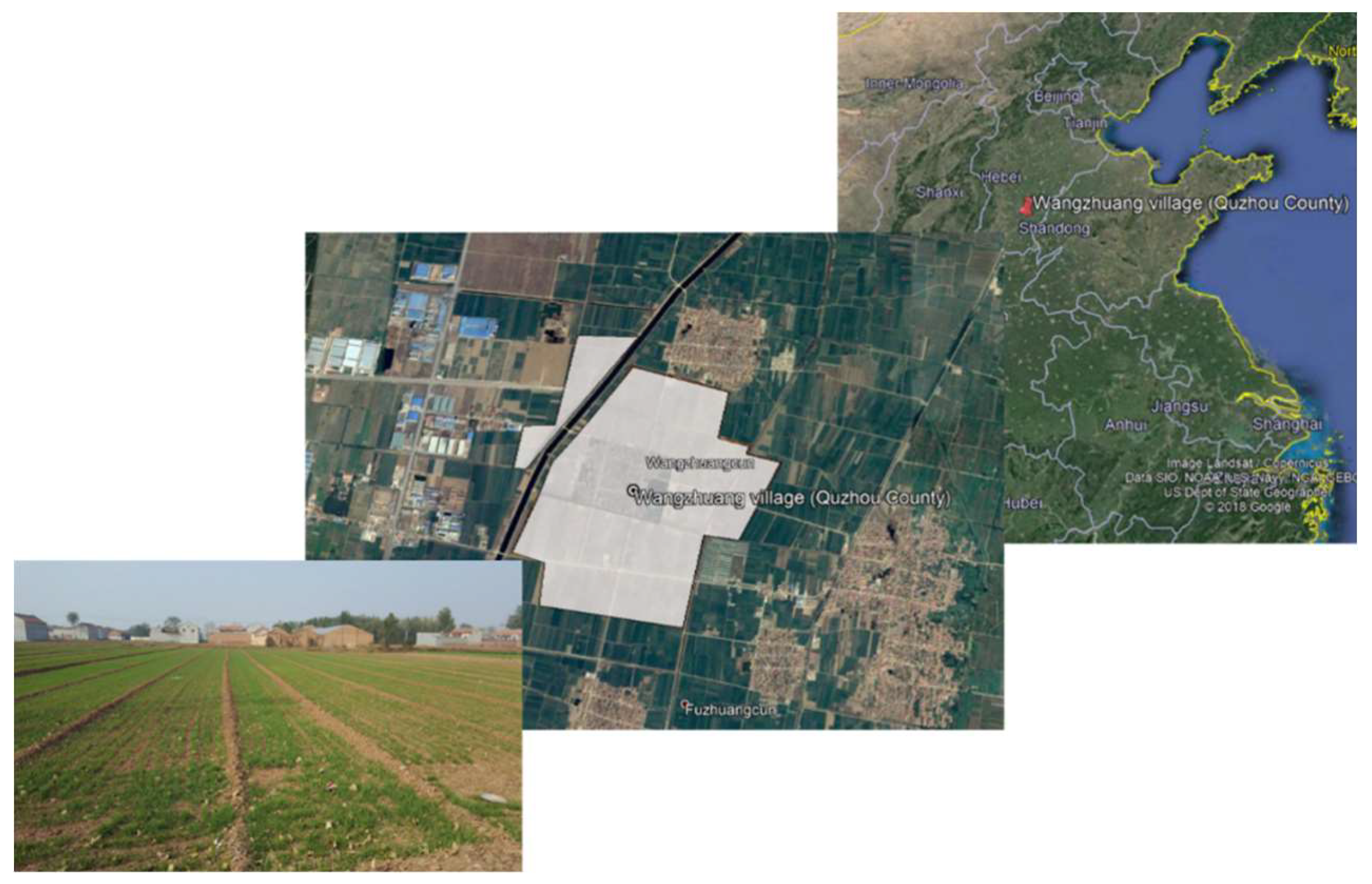 Agronomy 10 01767 g001 Agronomy 10 01767 g001