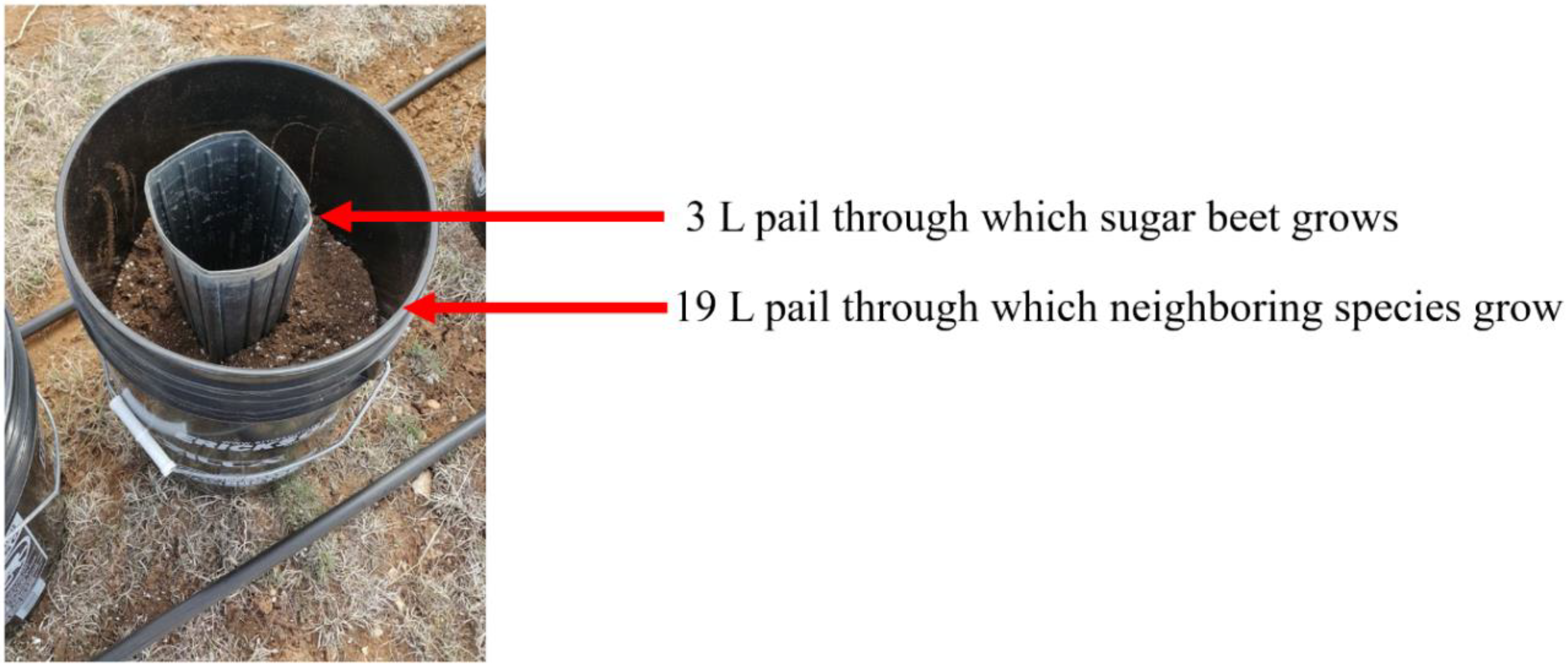 Agronomy 10 01771 g001 Agronomy 10 01771 g001