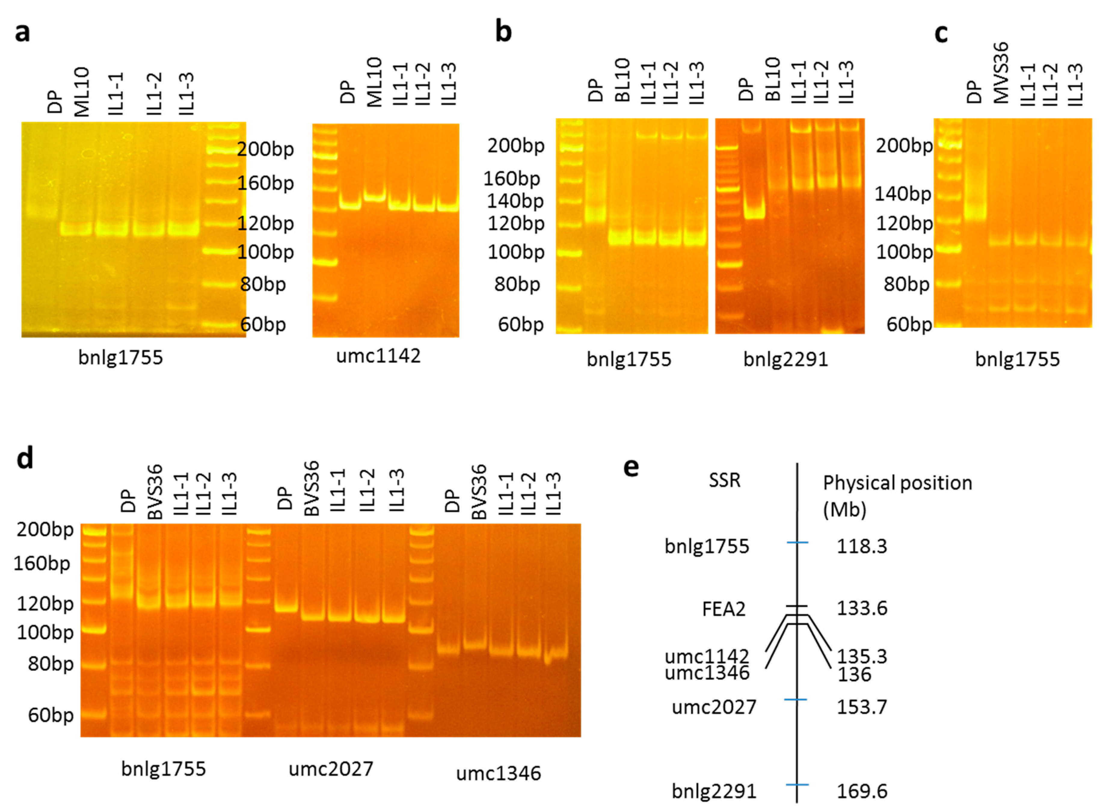 Agronomy 10 01774 g003 Agronomy 10 01774 g003