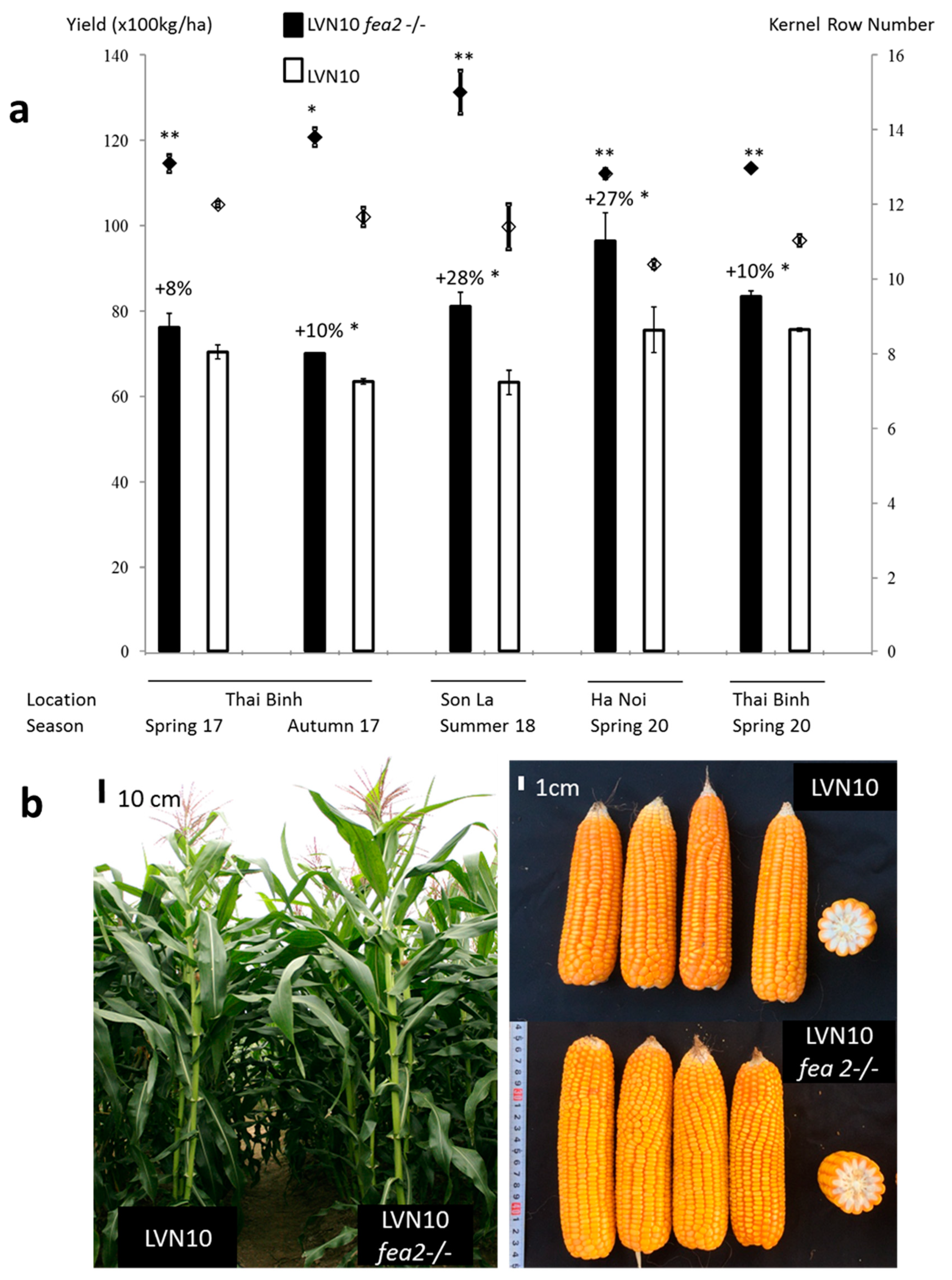 Agronomy 10 01774 g005 Agronomy 10 01774 g005