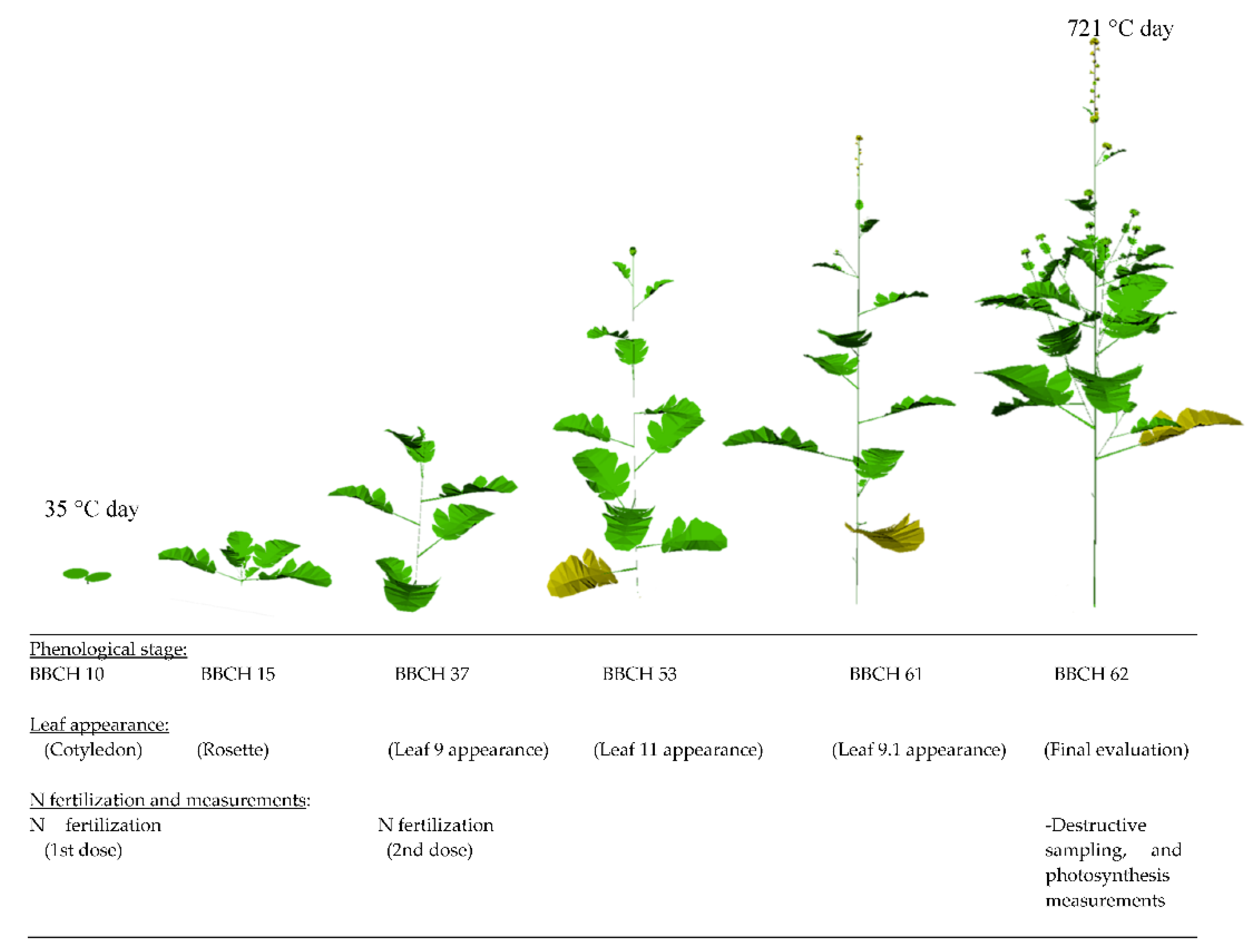 Agronomy 10 01780 g001