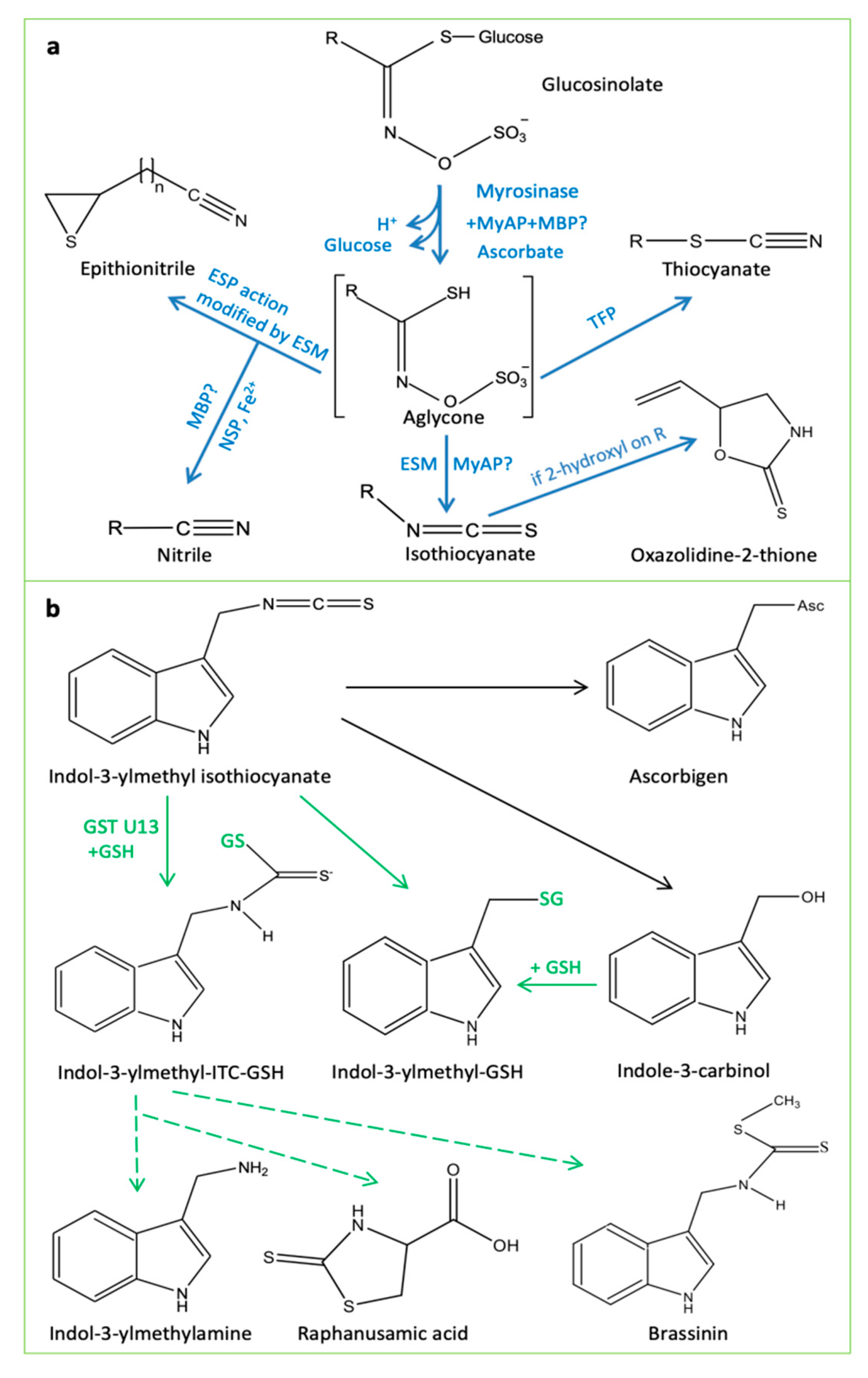 https://www.mdpi.com/agronomy/agronomy-10-01786/article_deploy/html/images/agronomy-10-01786-g001.png