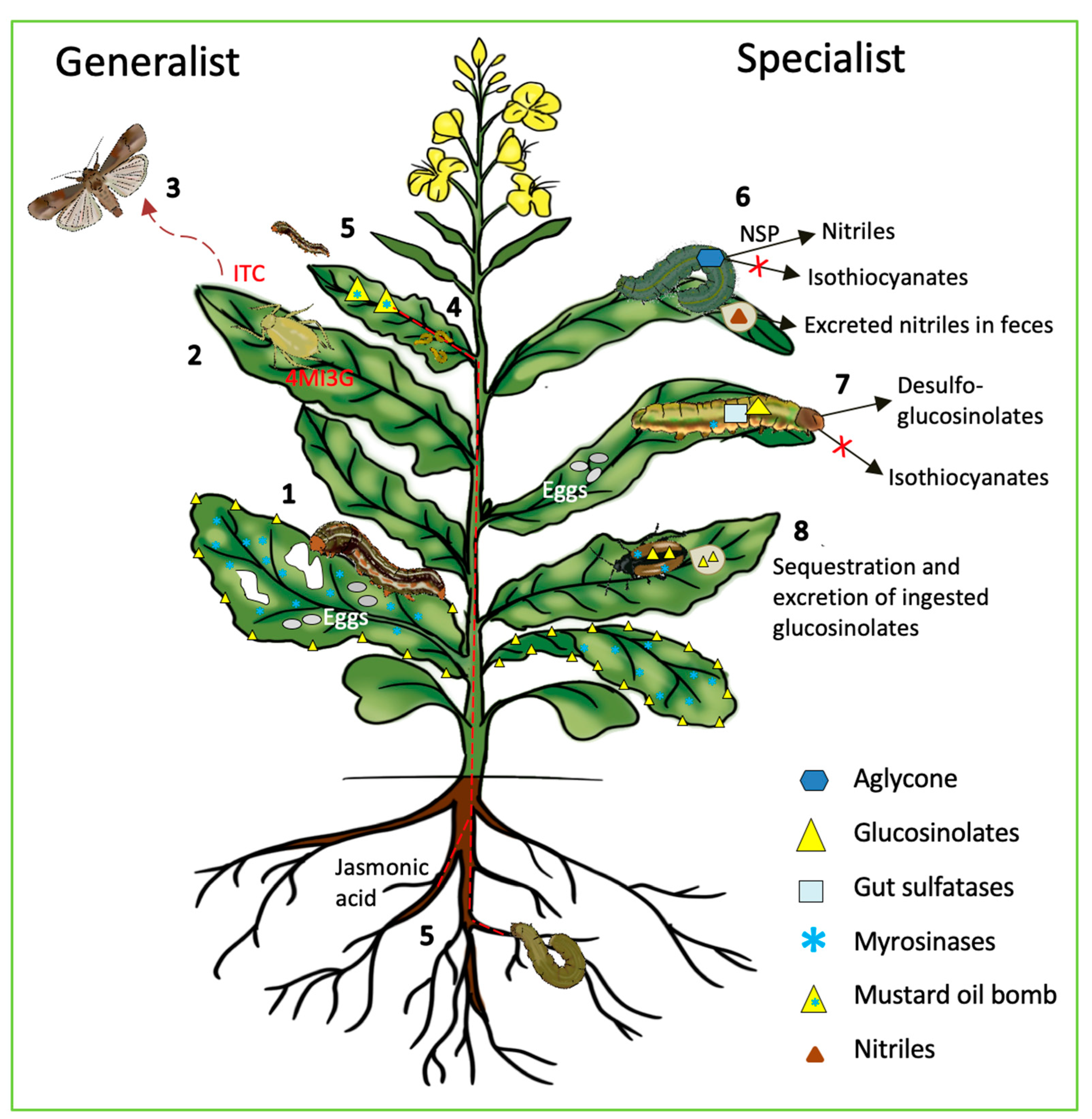 https://www.mdpi.com/agronomy/agronomy-10-01786/article_deploy/html/images/agronomy-10-01786-g003.png