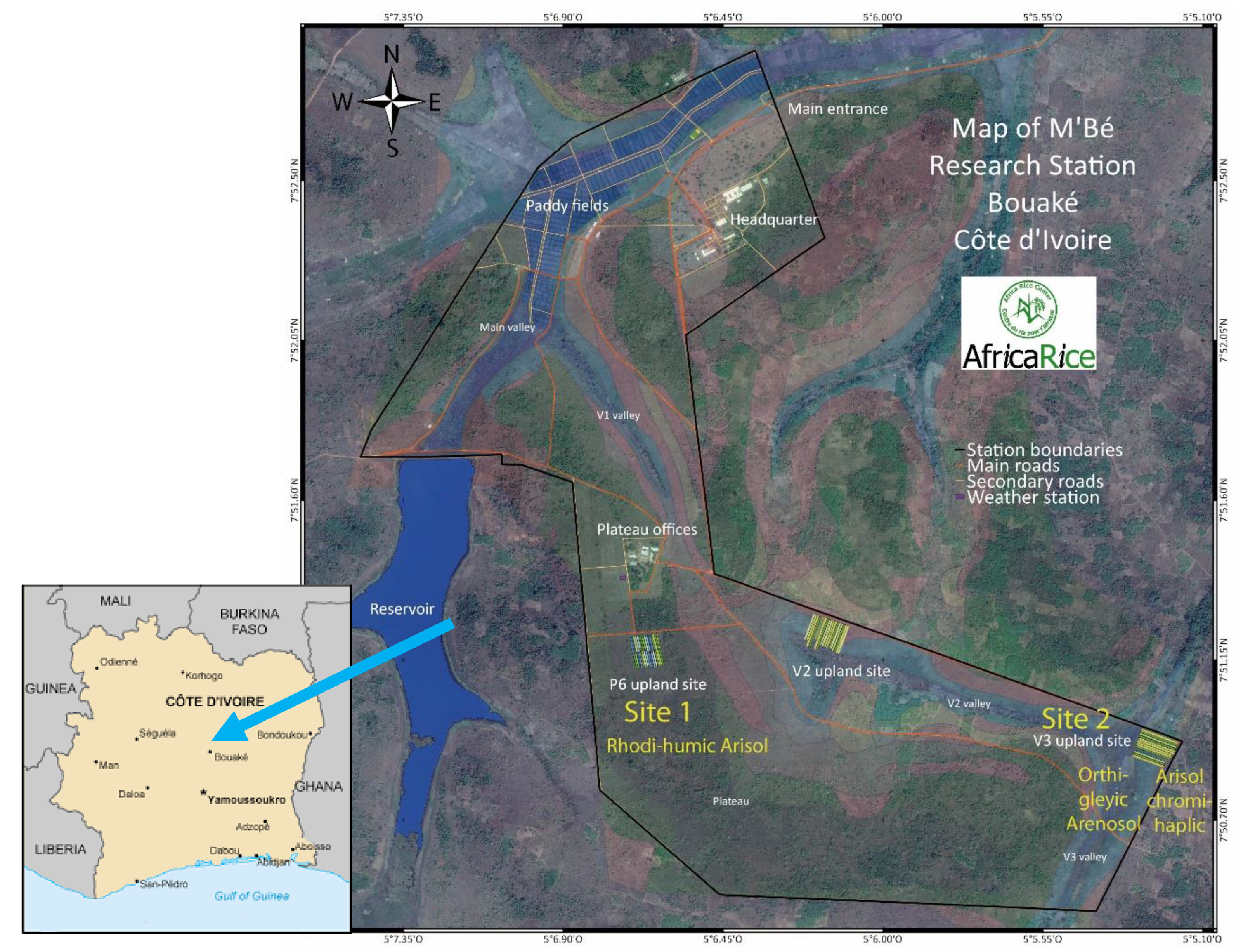 Agronomy 10 01787 g001 Agronomy 10 01787 g001