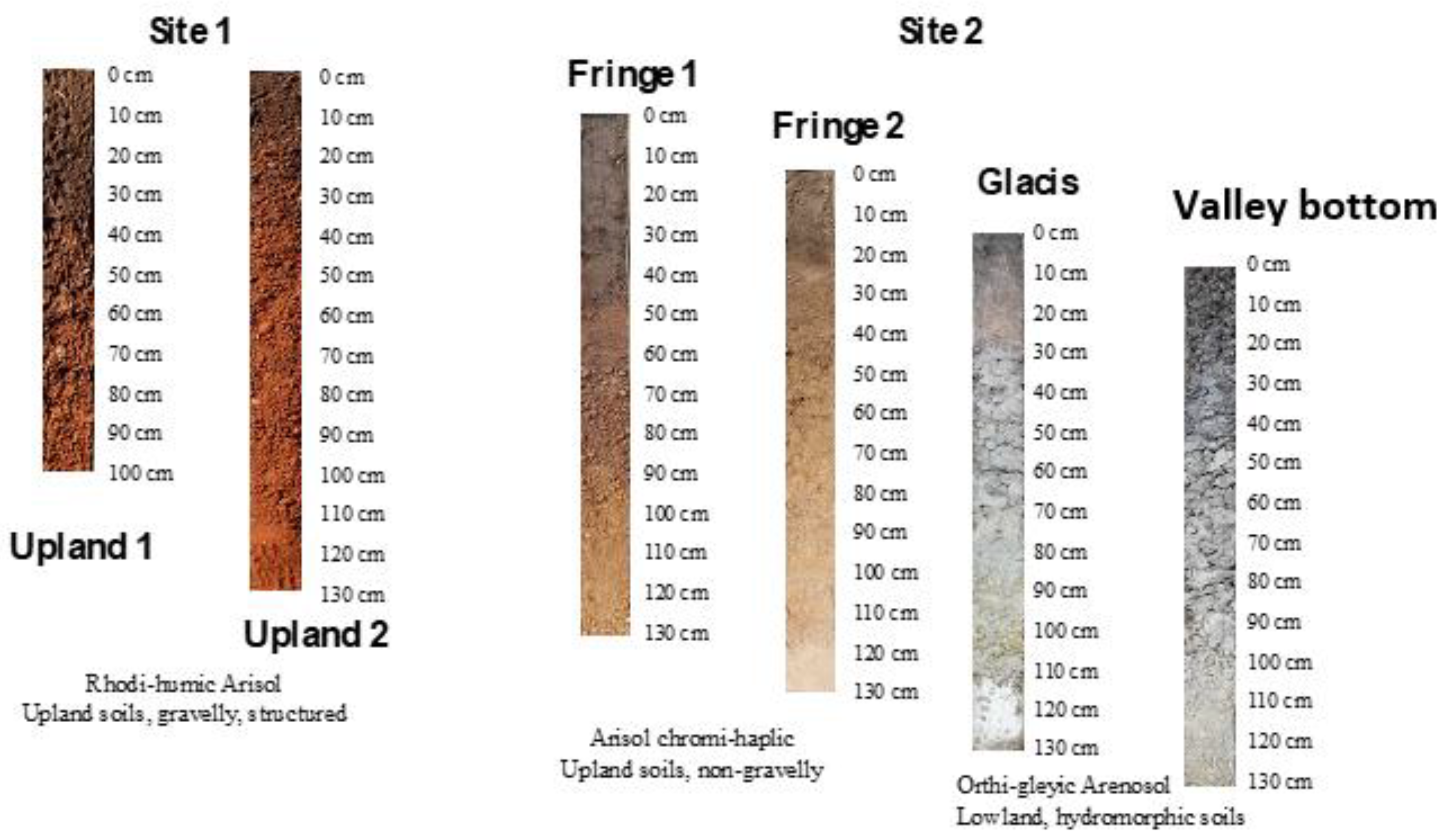 Agronomy 10 01787 g003 Agronomy 10 01787 g003