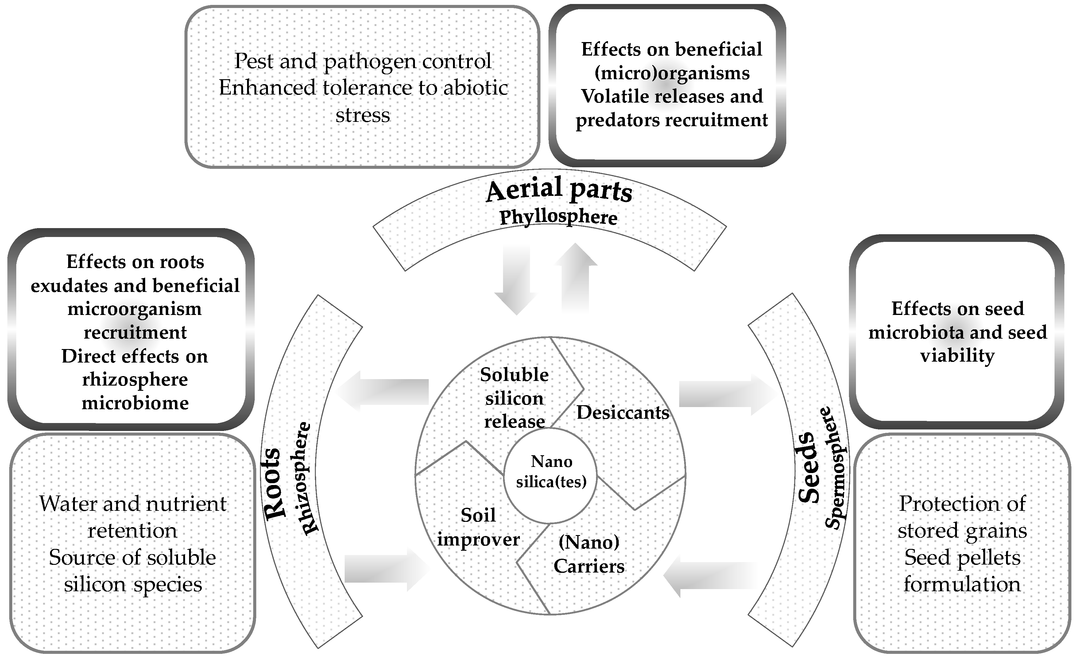 Agronomy 10 01791 g004 Agronomy 10 01791 g004