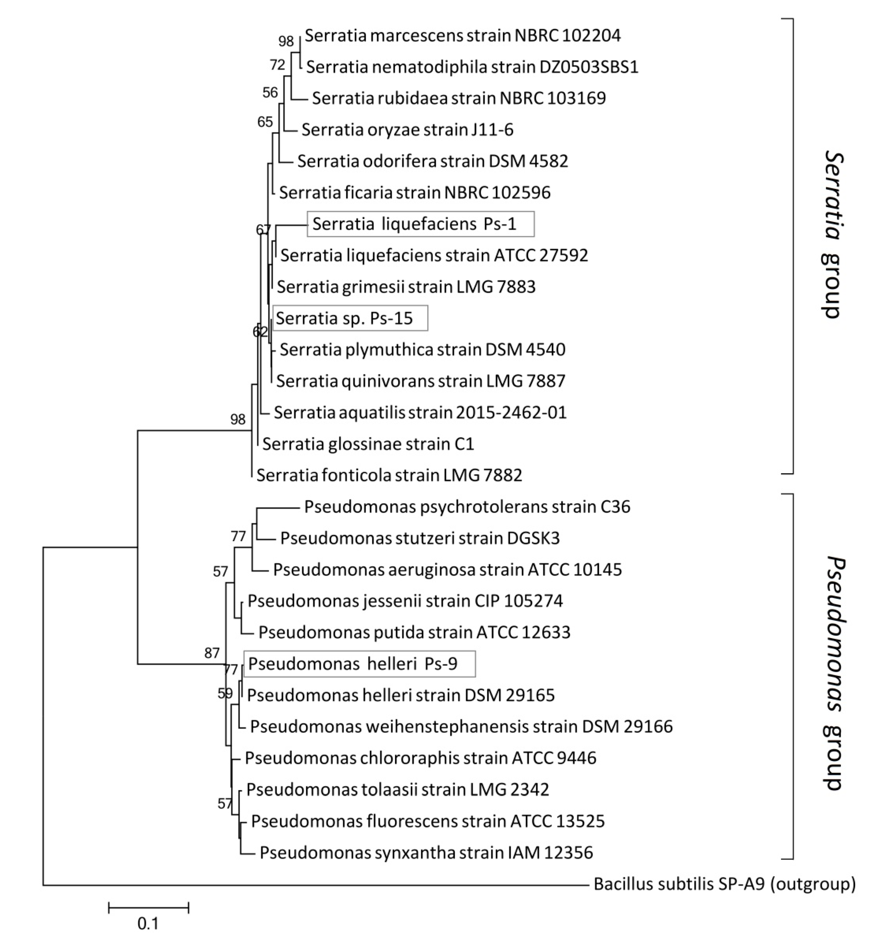 Agronomy 10 01792 g001 Agronomy 10 01792 g001