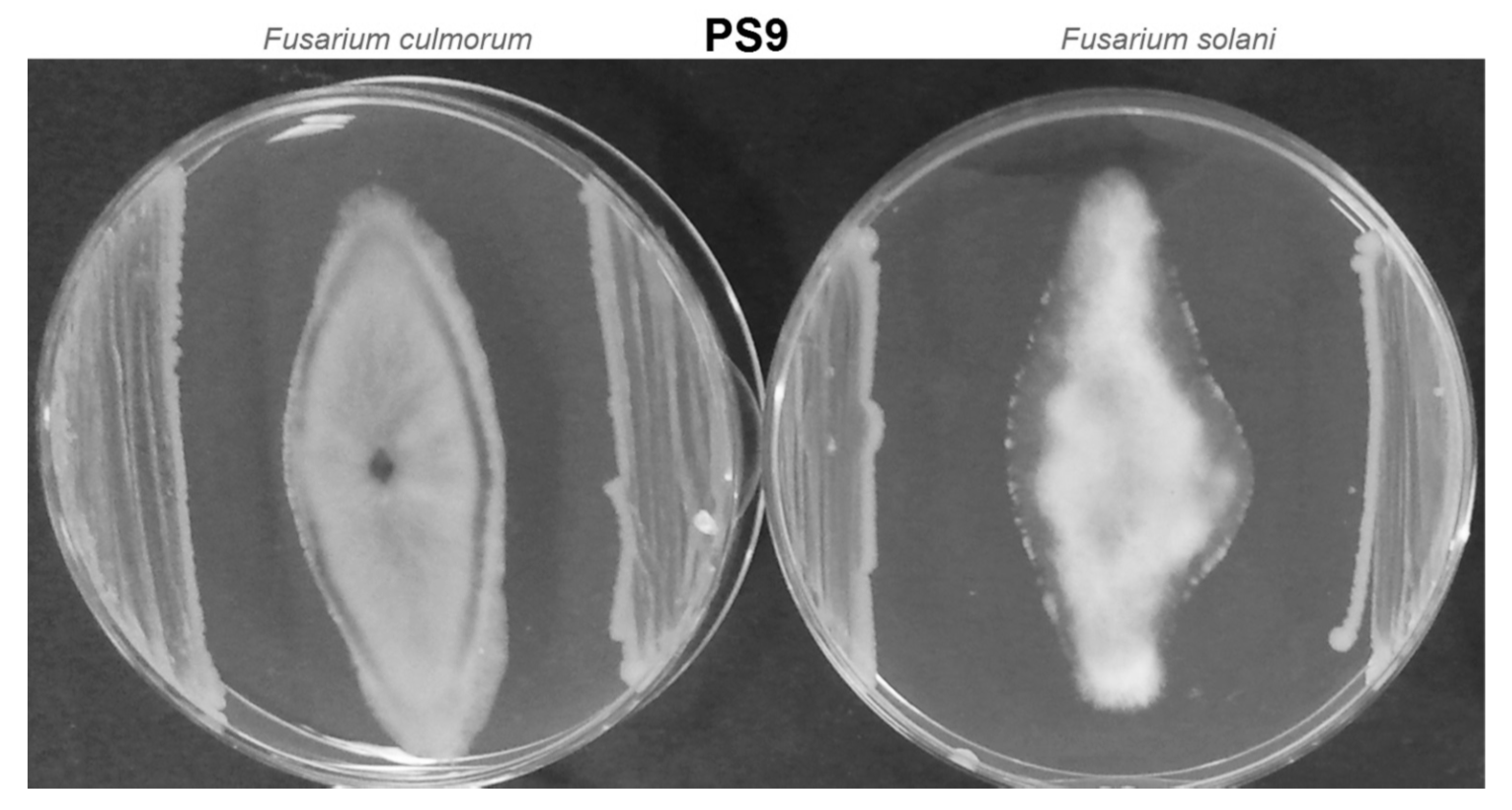 Agronomy 10 01792 g002 Agronomy 10 01792 g002