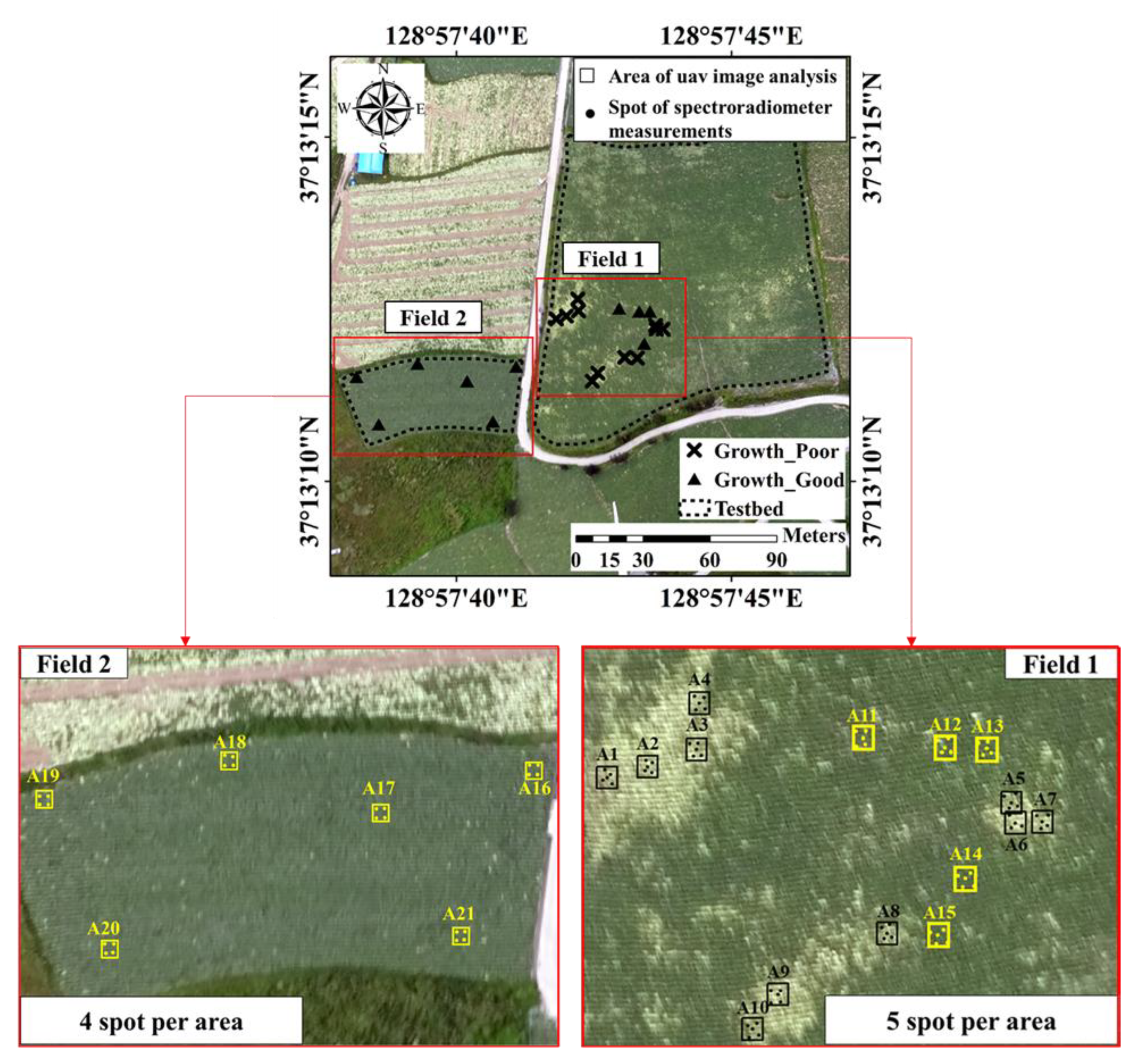 Agronomy Free Full Text Developing A P Ndvi Map For Highland Kimchi Cabbage Using Spectral Information From Uavs And A Field Spectral Radiometer Html