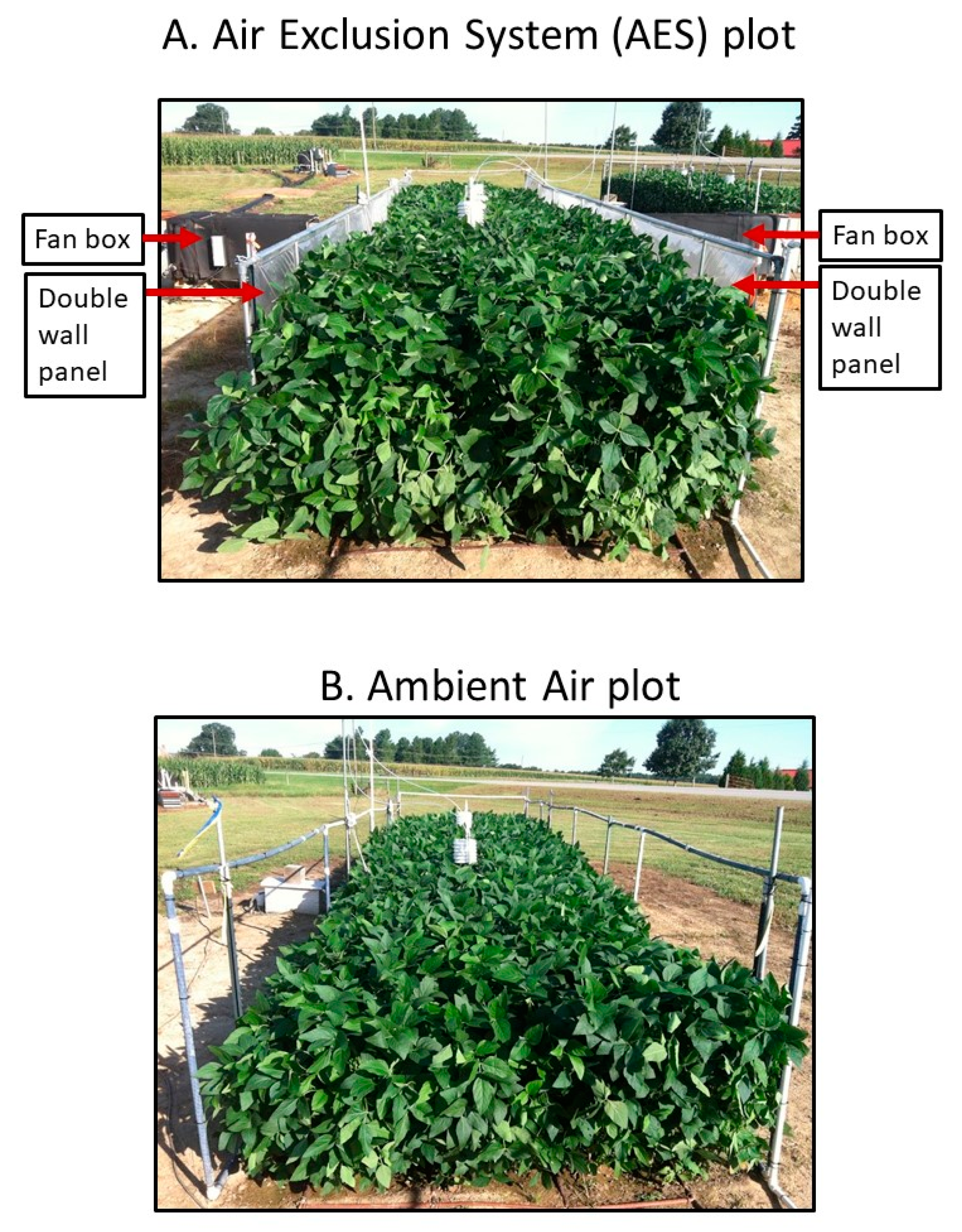 Agronomy 10 01803 g001 Agronomy 10 01803 g001