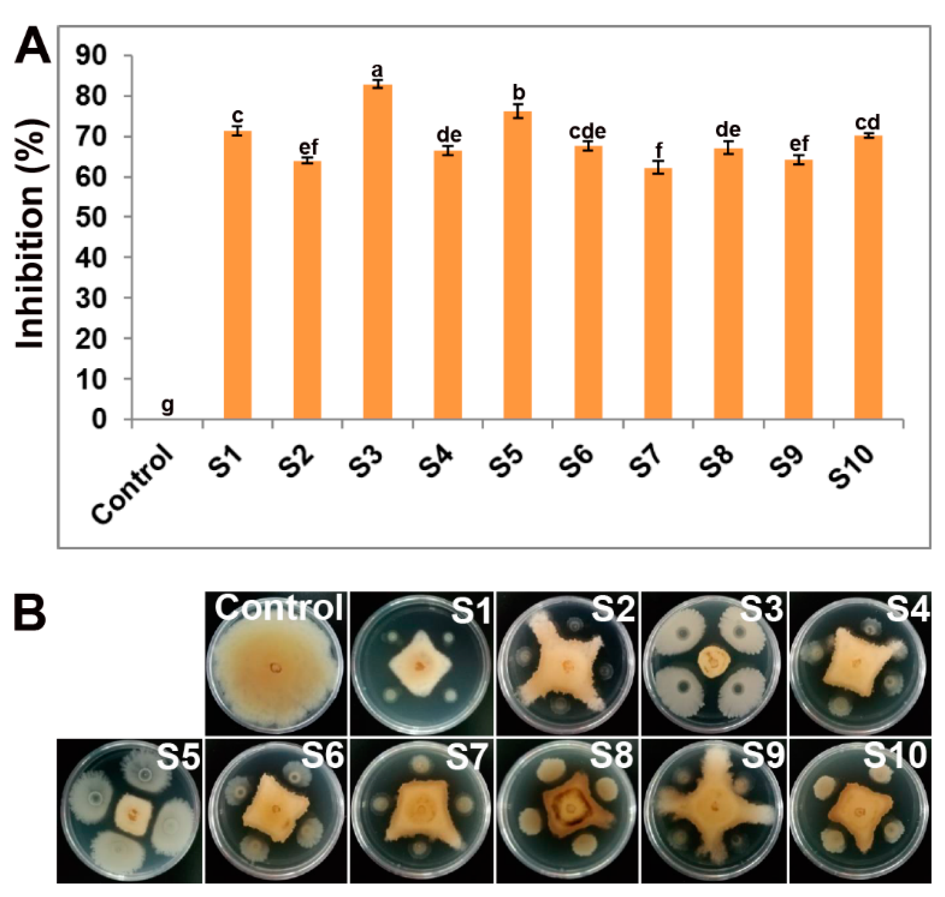 Agronomy 10 01811 g001